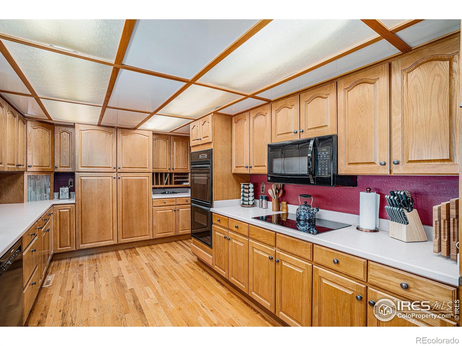 MLS Image #8 for 514  palisade mountain drive,windsor, Colorado