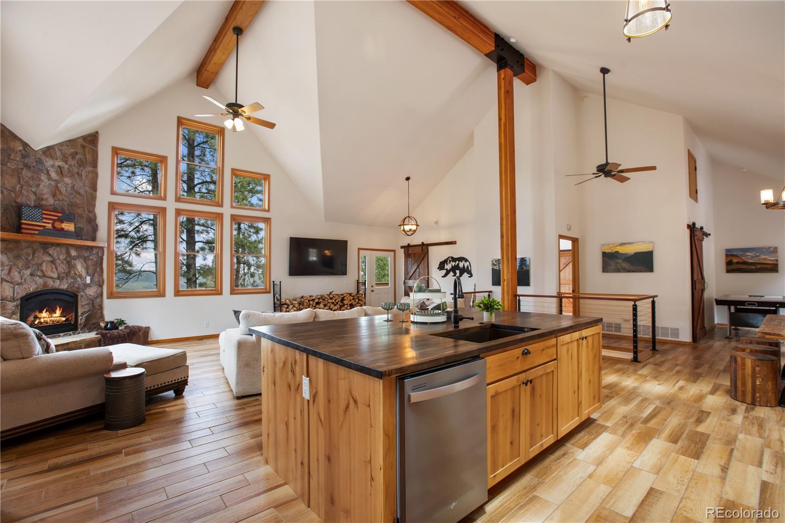 MLS Image #10 for 1321  forest edge road,woodland park, Colorado
