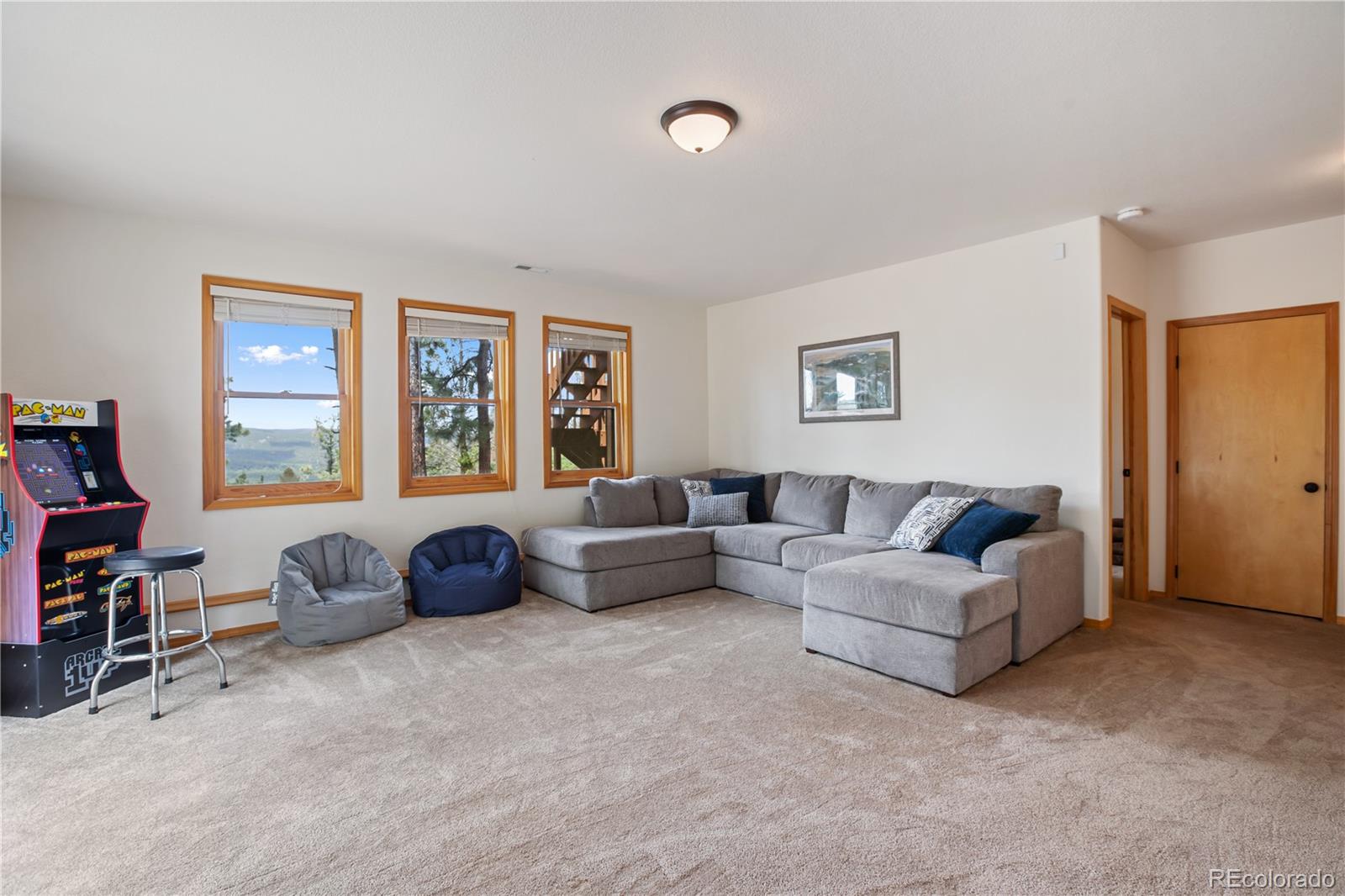 MLS Image #18 for 1321  forest edge road,woodland park, Colorado