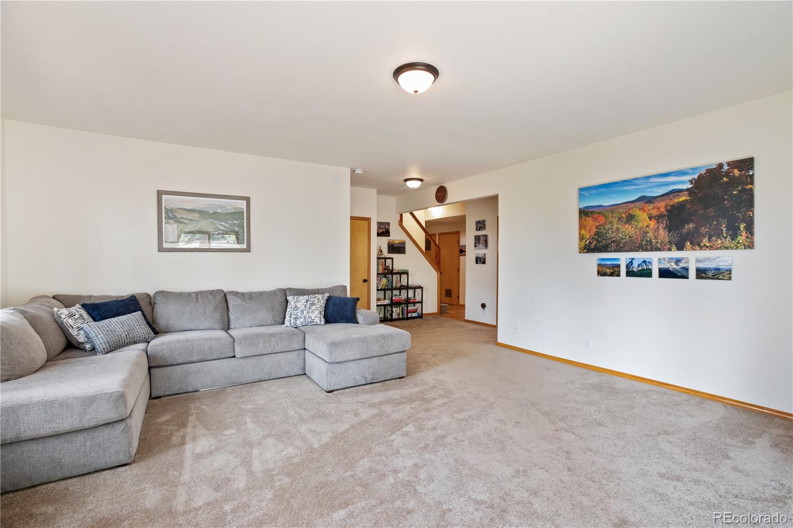 MLS Image #23 for 1321  forest edge road,woodland park, Colorado