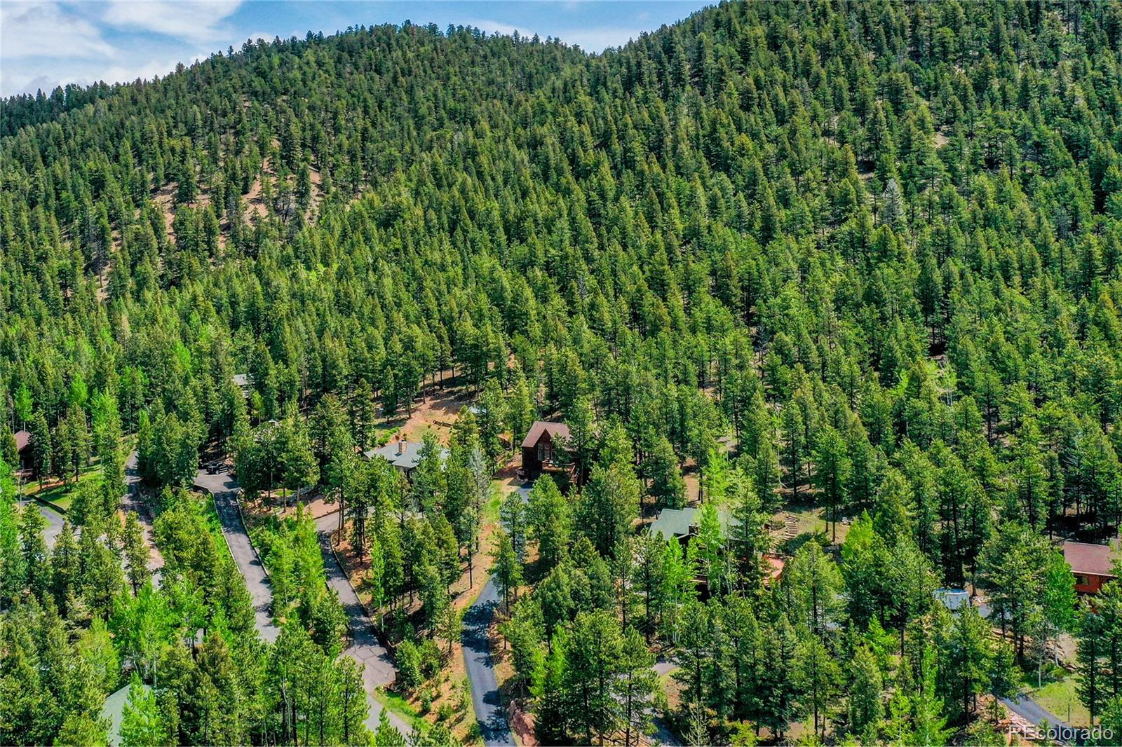MLS Image #25 for 1321  forest edge road,woodland park, Colorado