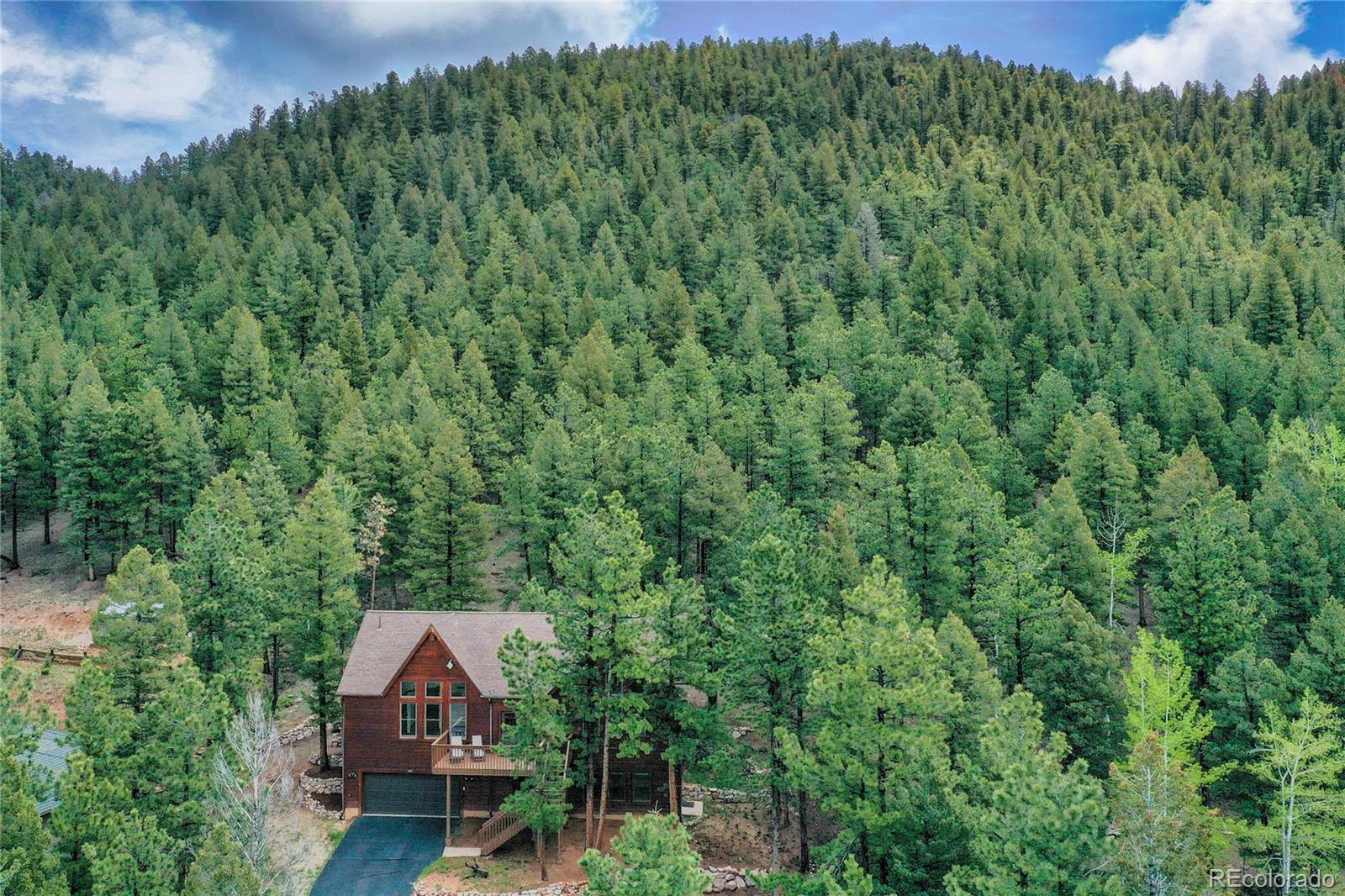 MLS Image #29 for 1321  forest edge road,woodland park, Colorado