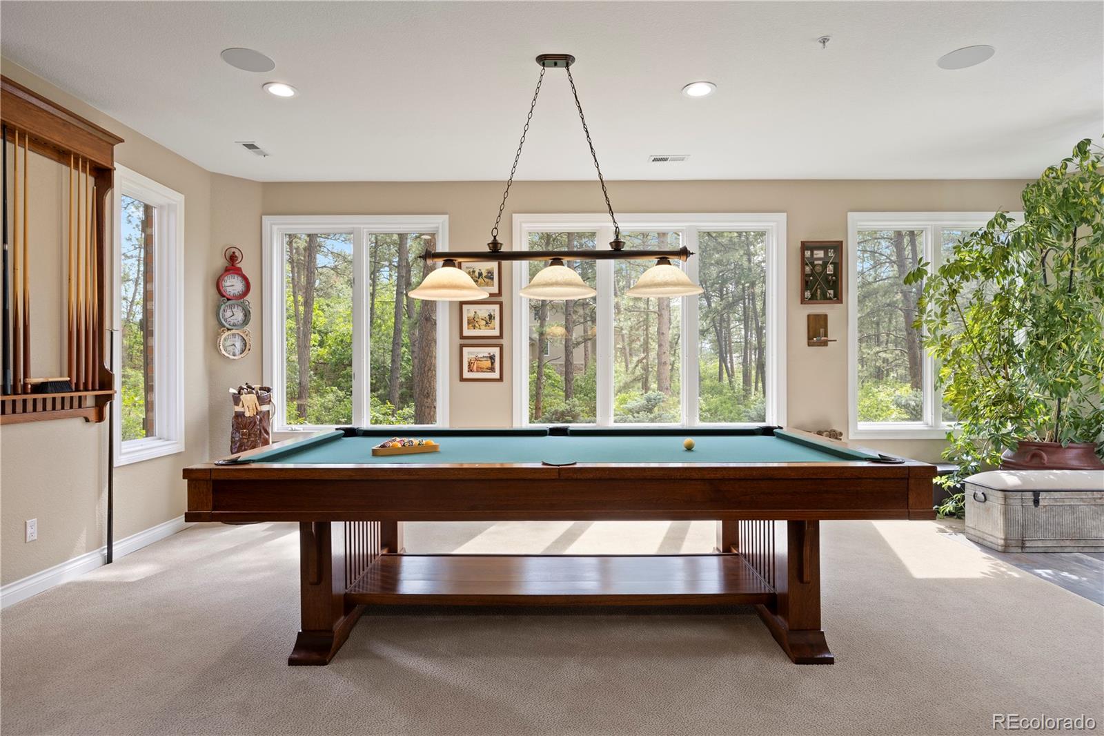 MLS Image #31 for 315  prospect drive,castle rock, Colorado