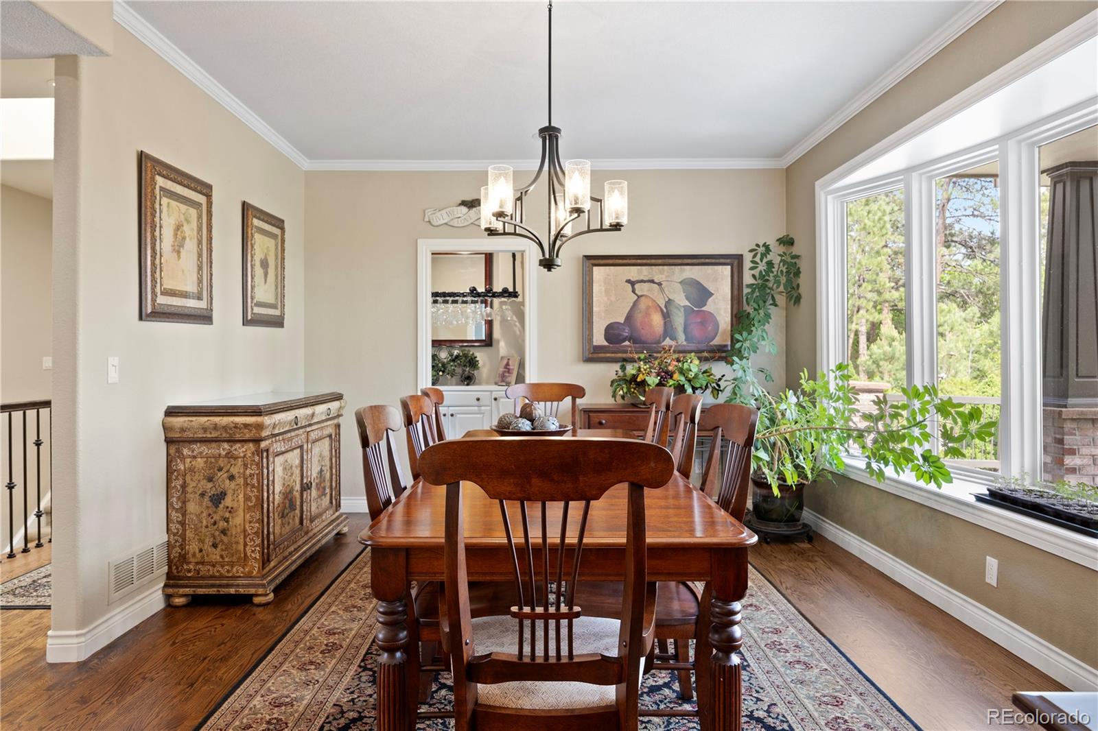 MLS Image #4 for 315  prospect drive,castle rock, Colorado