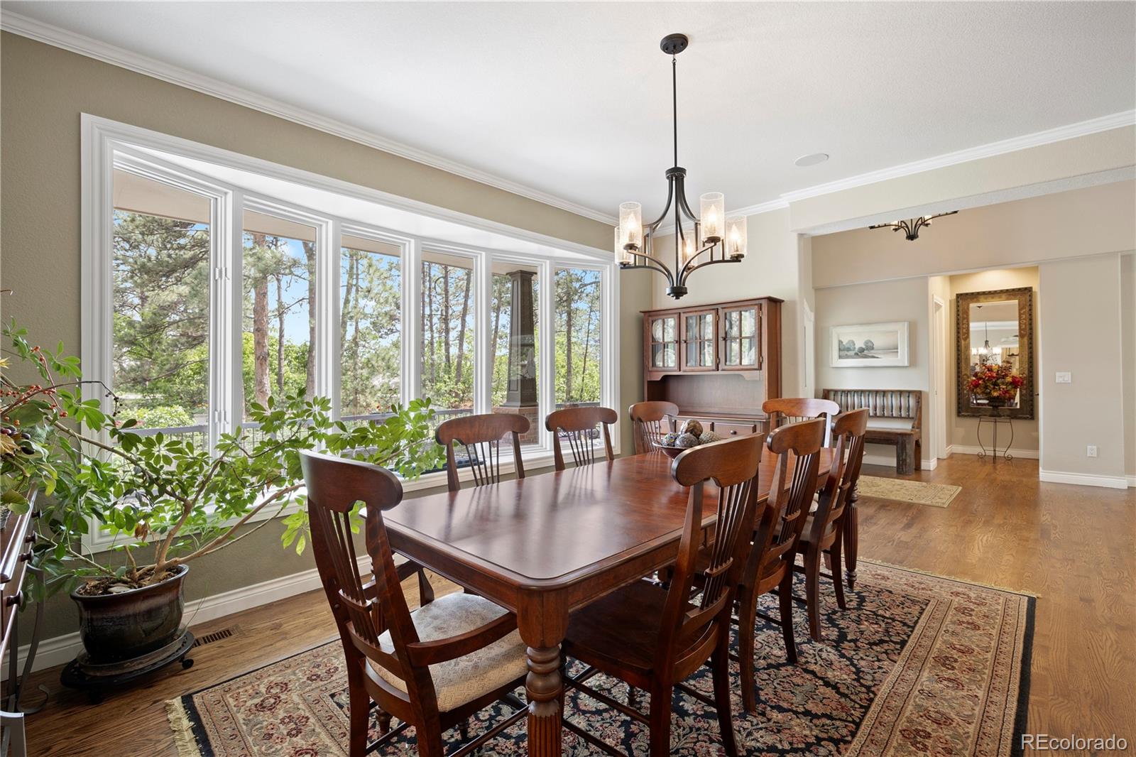 MLS Image #5 for 315  prospect drive,castle rock, Colorado