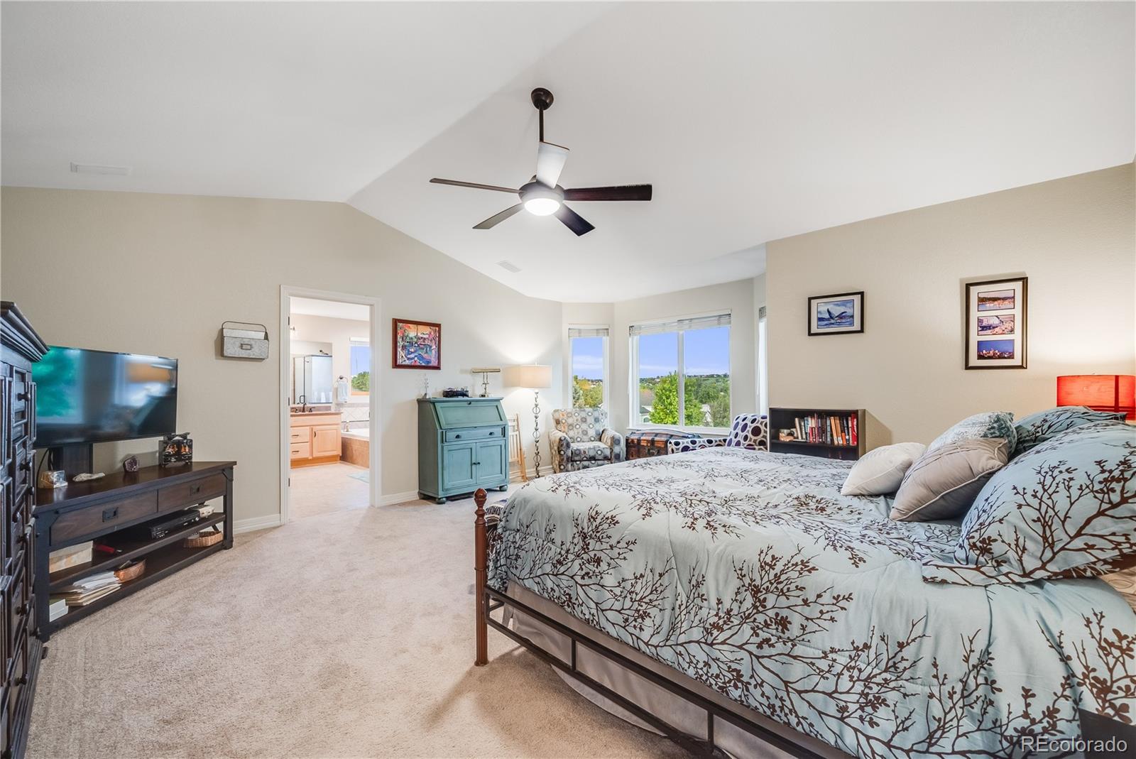 MLS Image #19 for 22428  quail run lane,parker, Colorado