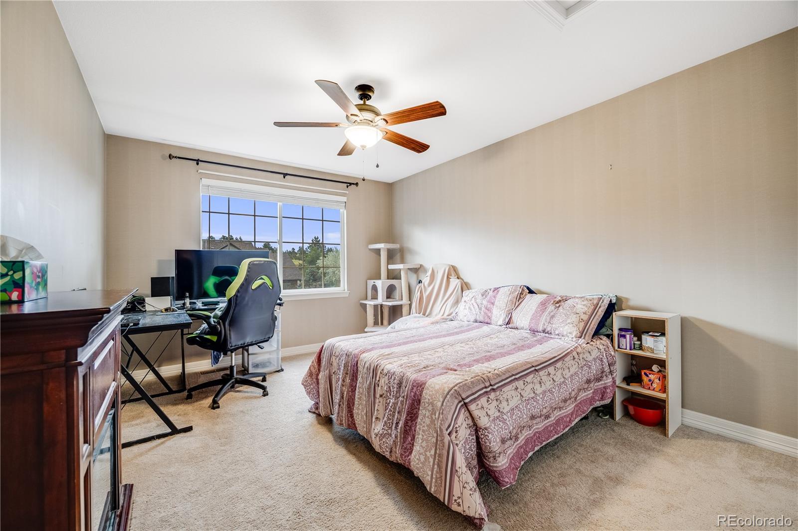 MLS Image #25 for 22428  quail run lane,parker, Colorado