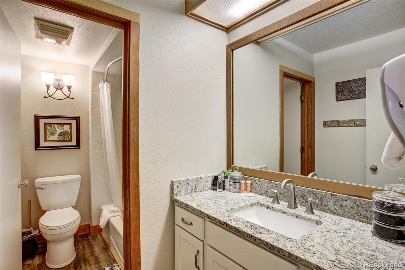 MLS Image #18 for 21610  us highway 6 ,keystone, Colorado