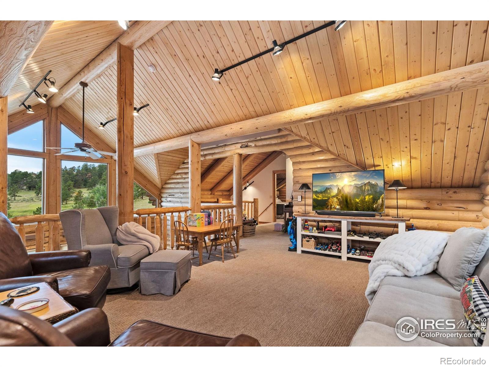 MLS Image #12 for 3309  green mountain drive,livermore, Colorado
