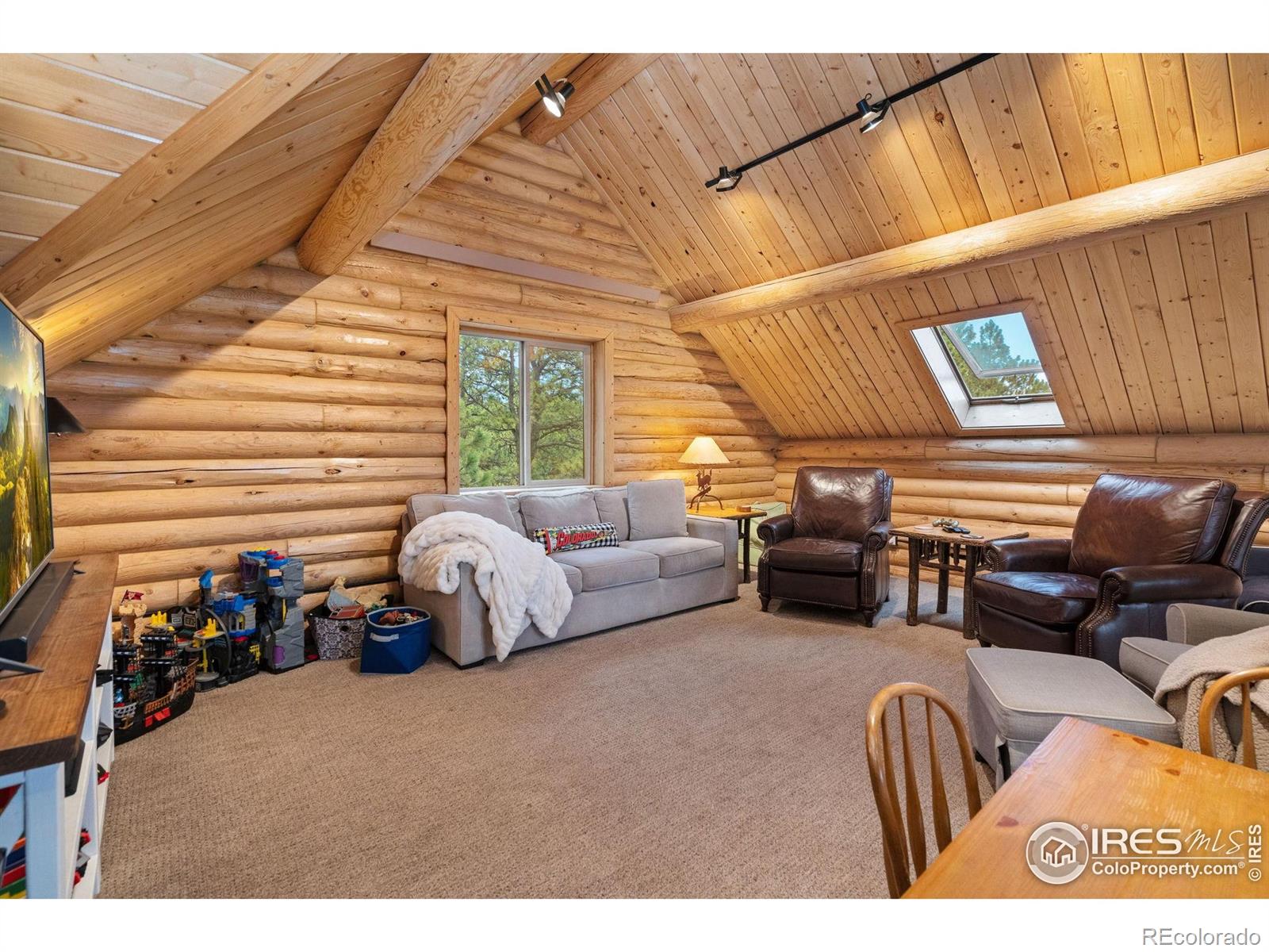 MLS Image #13 for 3309  green mountain drive,livermore, Colorado