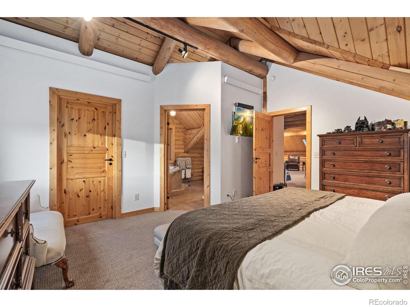MLS Image #16 for 3309  green mountain drive,livermore, Colorado