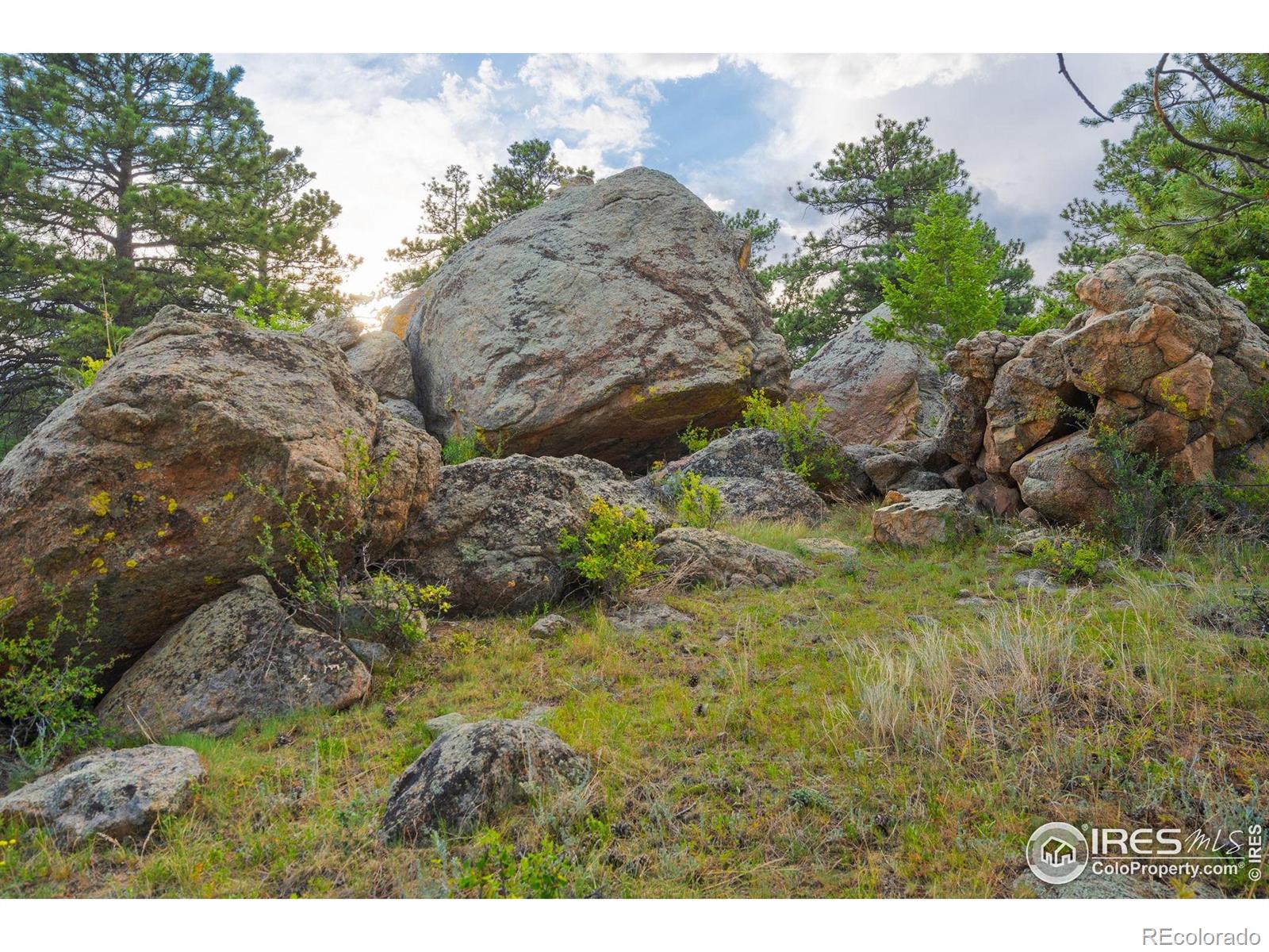 MLS Image #33 for 3309  green mountain drive,livermore, Colorado