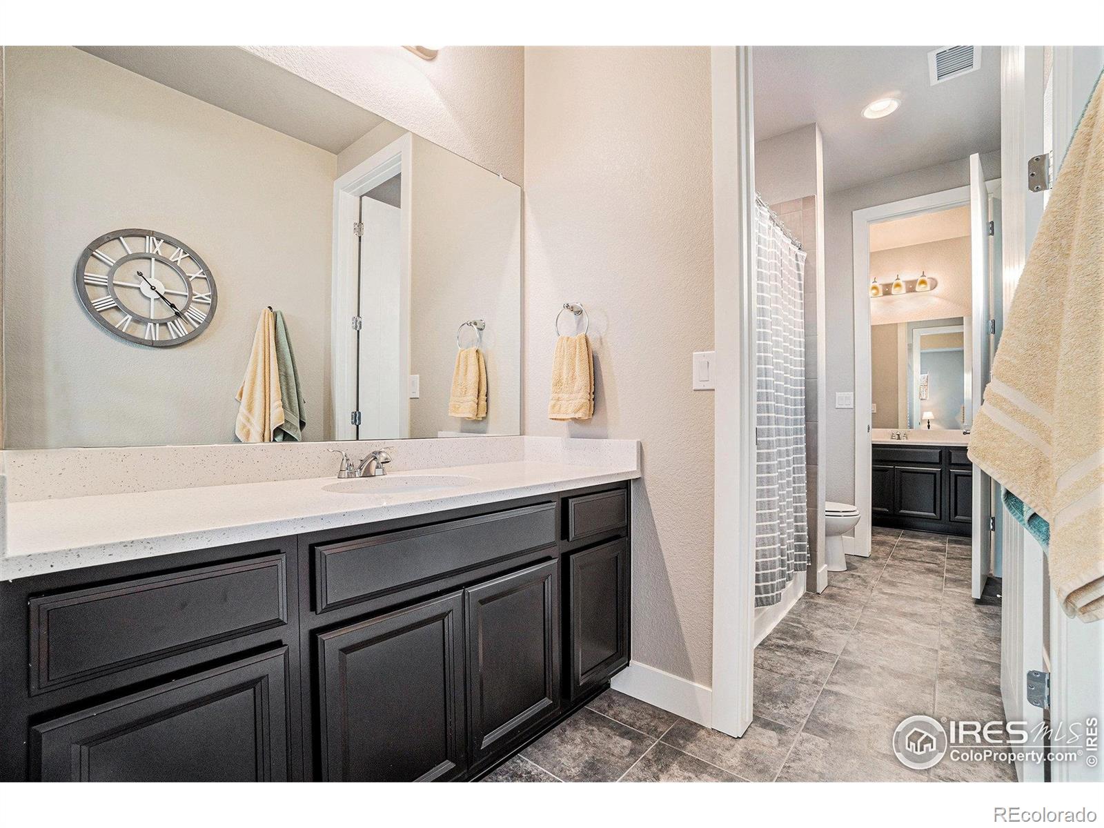 MLS Image #22 for 2579  cub lake court,loveland, Colorado