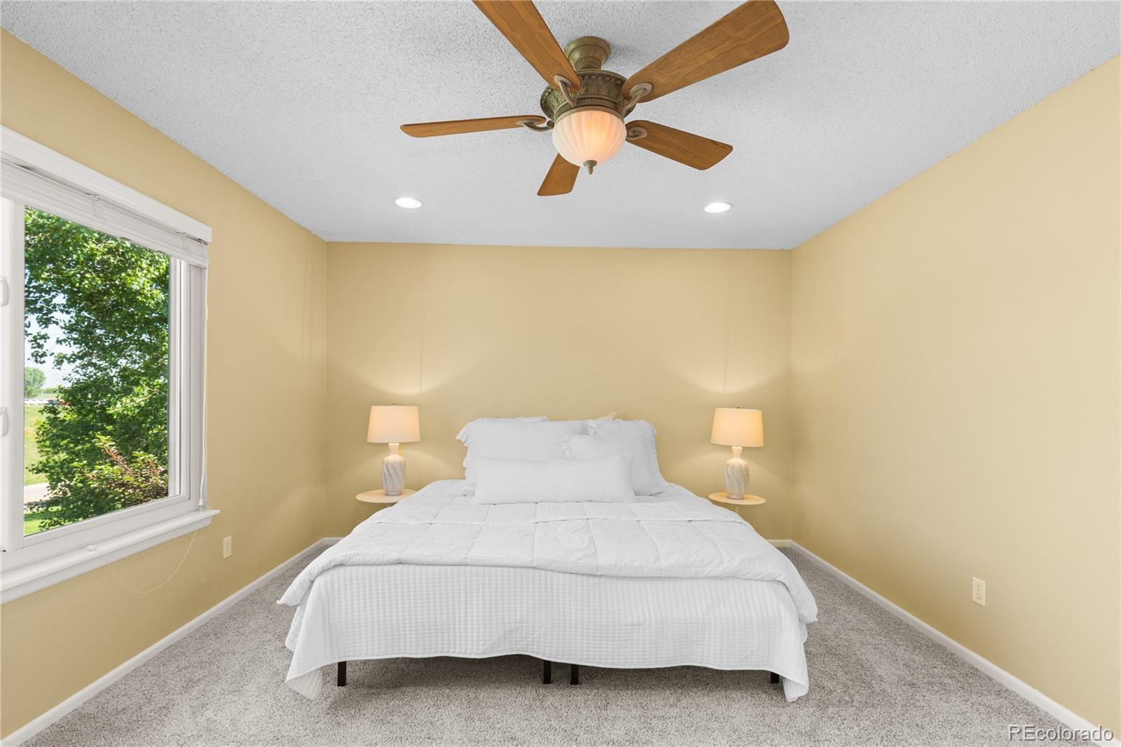 MLS Image #17 for 15963  rock crystal drive,parker, Colorado