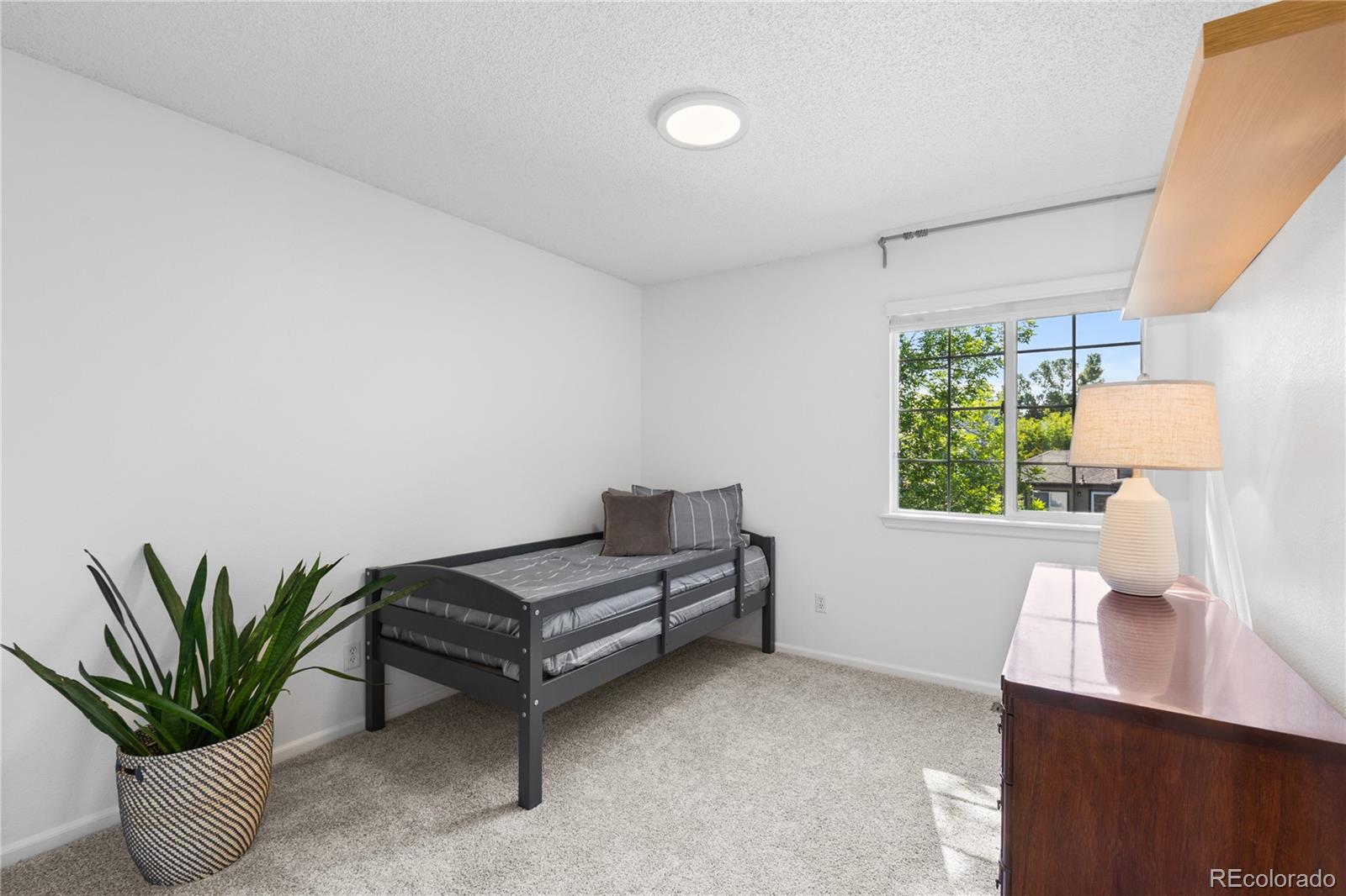 MLS Image #20 for 15963  rock crystal drive,parker, Colorado