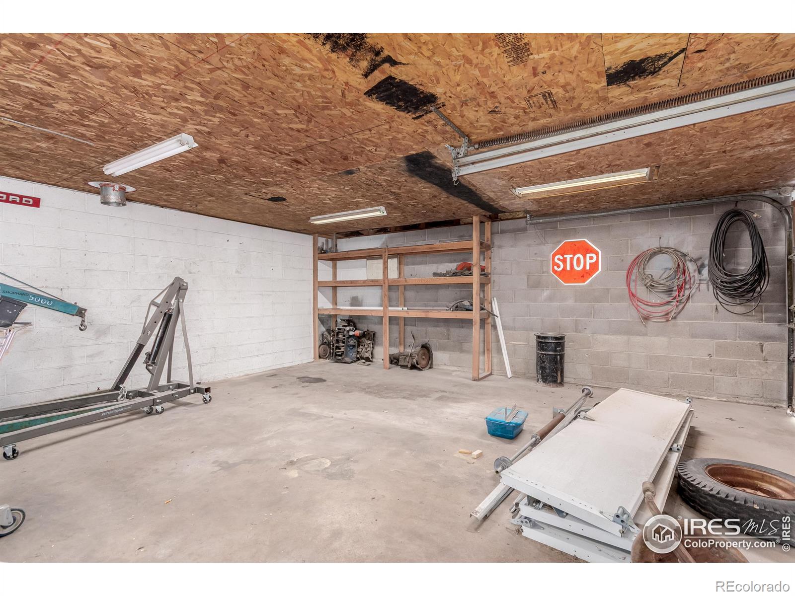 MLS Image #12 for 8110  ivy street,commerce city, Colorado