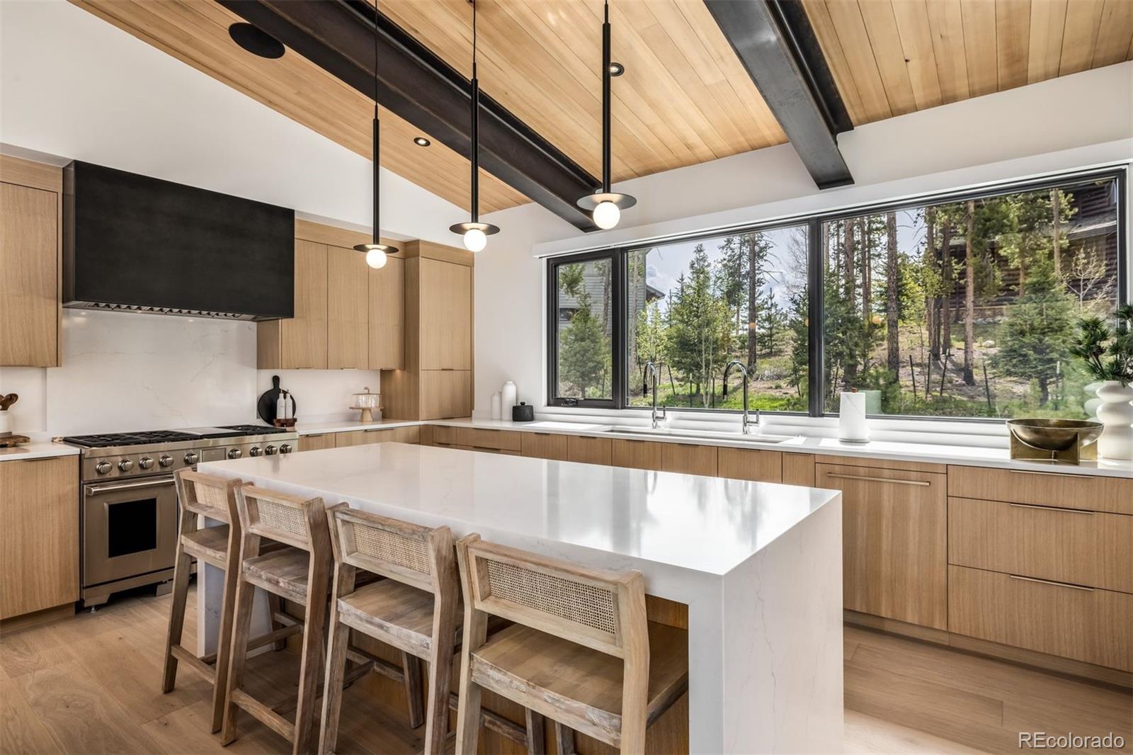 MLS Image #13 for 214  windflower lane,frisco, Colorado