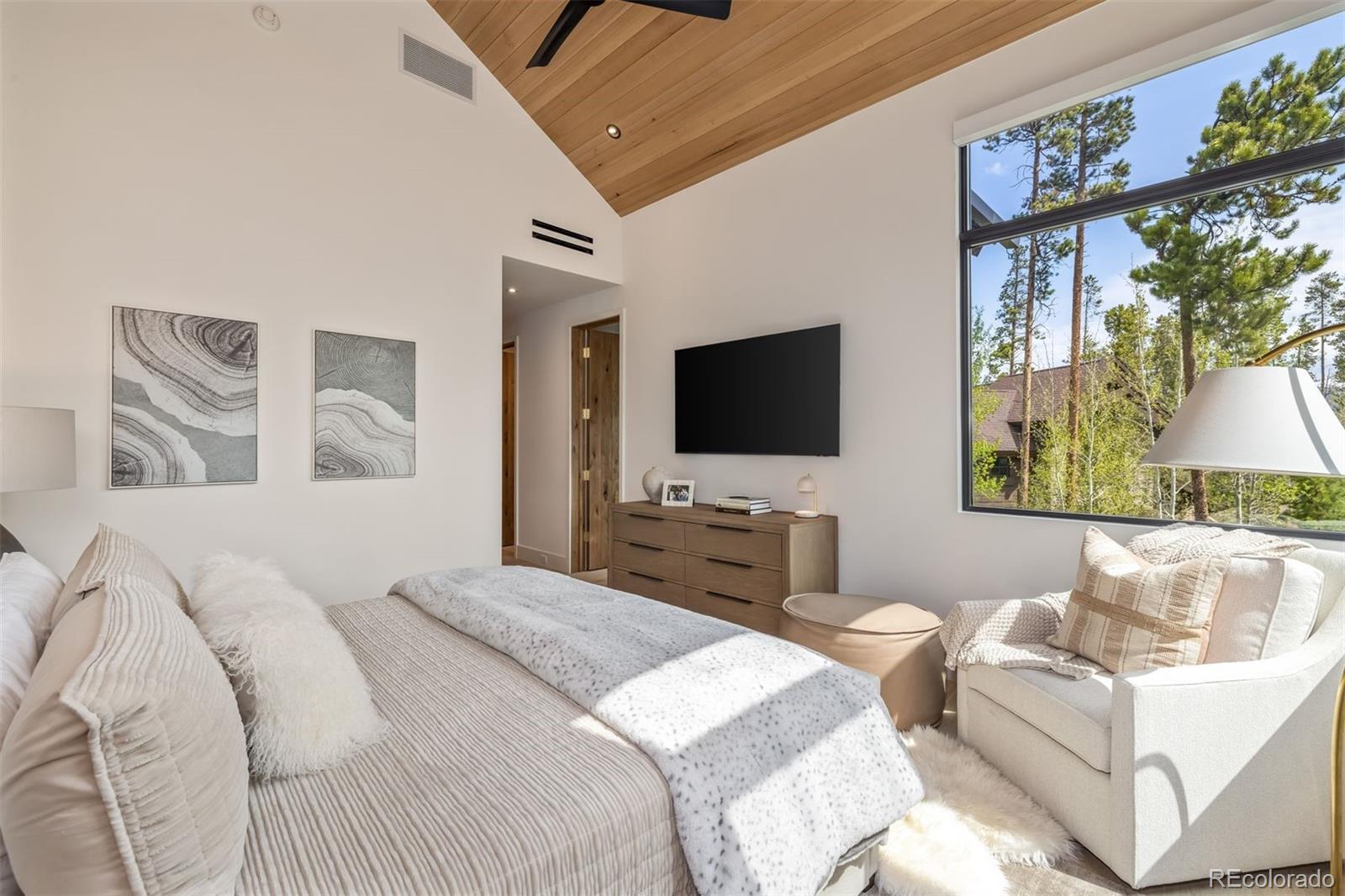 MLS Image #16 for 214  windflower lane,frisco, Colorado
