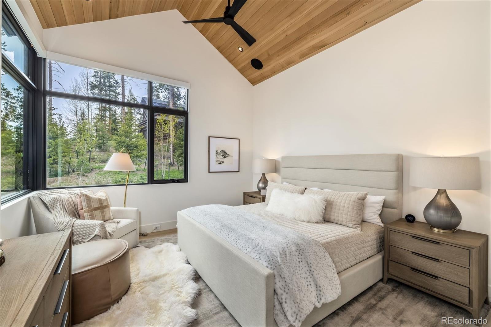MLS Image #17 for 214  windflower lane,frisco, Colorado