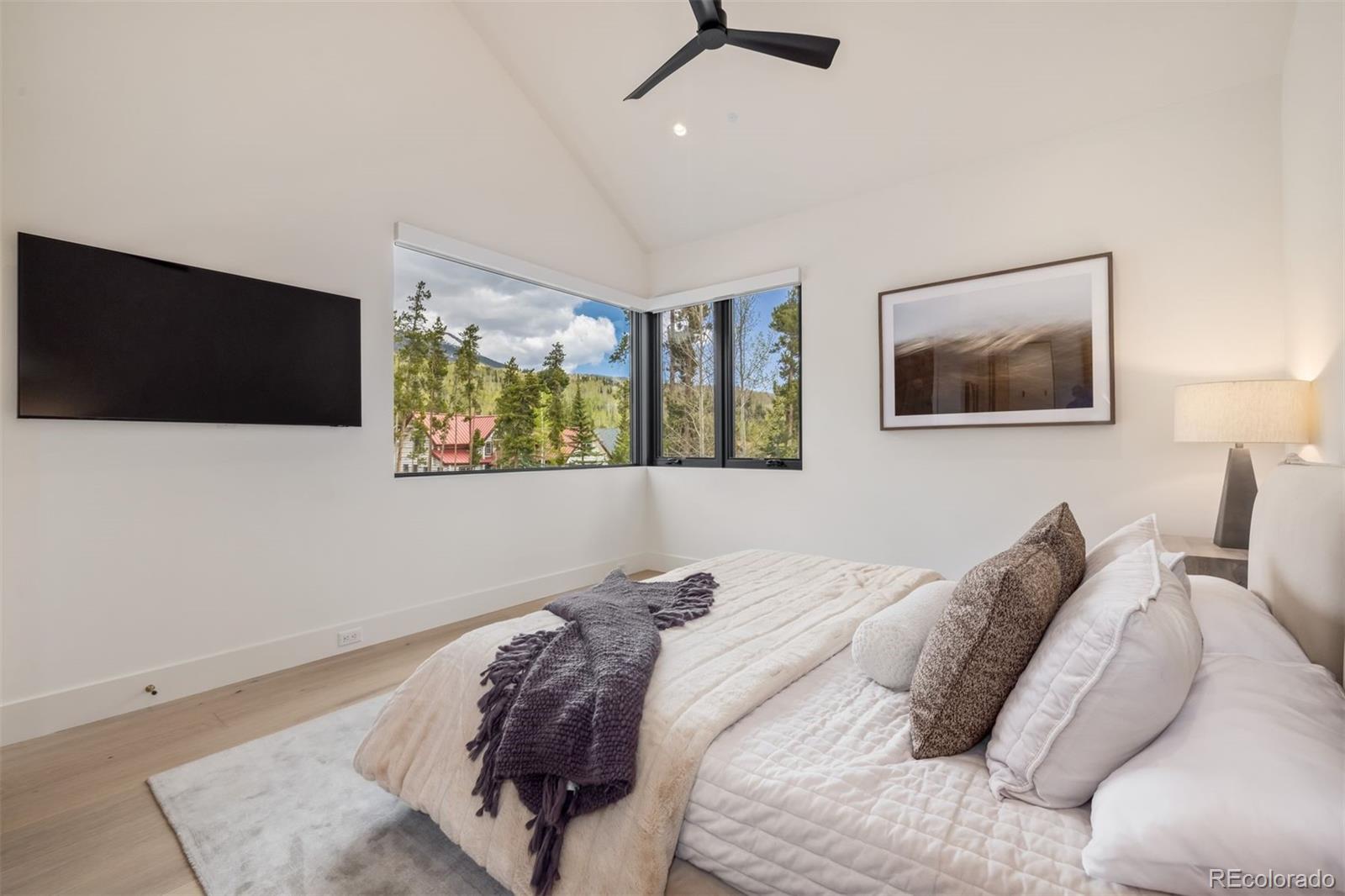 MLS Image #21 for 214  windflower lane,frisco, Colorado