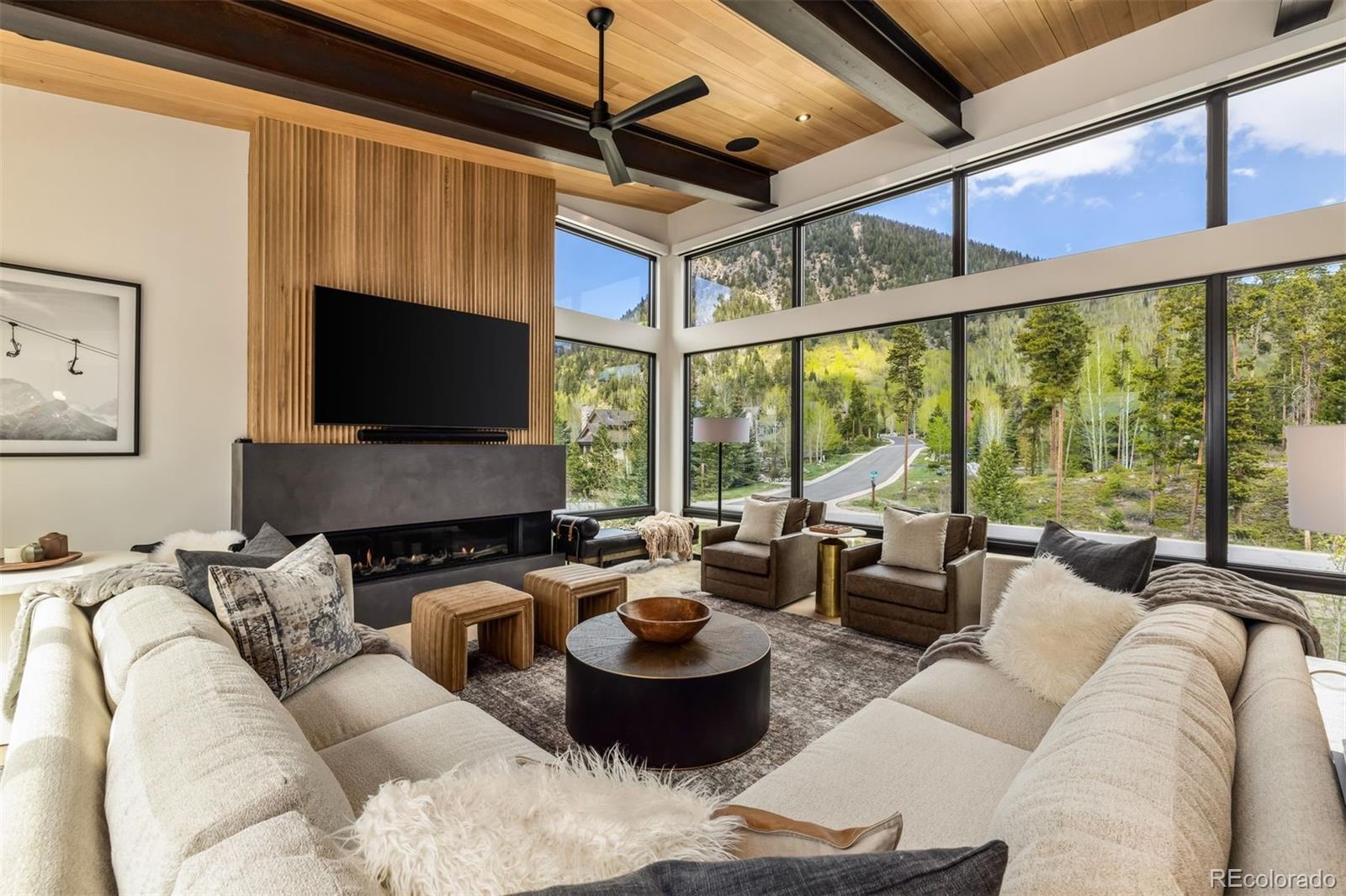 MLS Image #6 for 214  windflower lane,frisco, Colorado