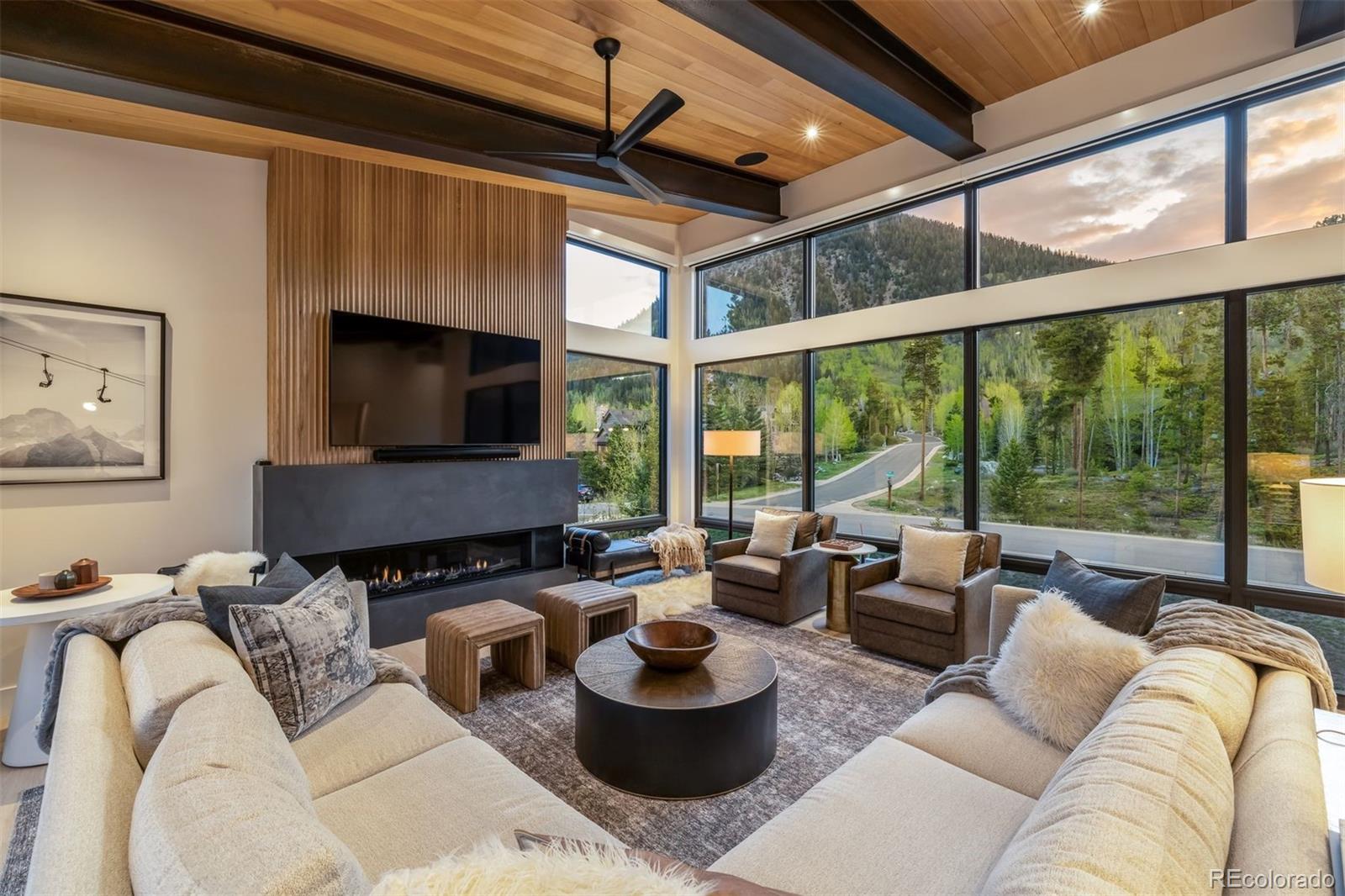 MLS Image #7 for 214  windflower lane,frisco, Colorado
