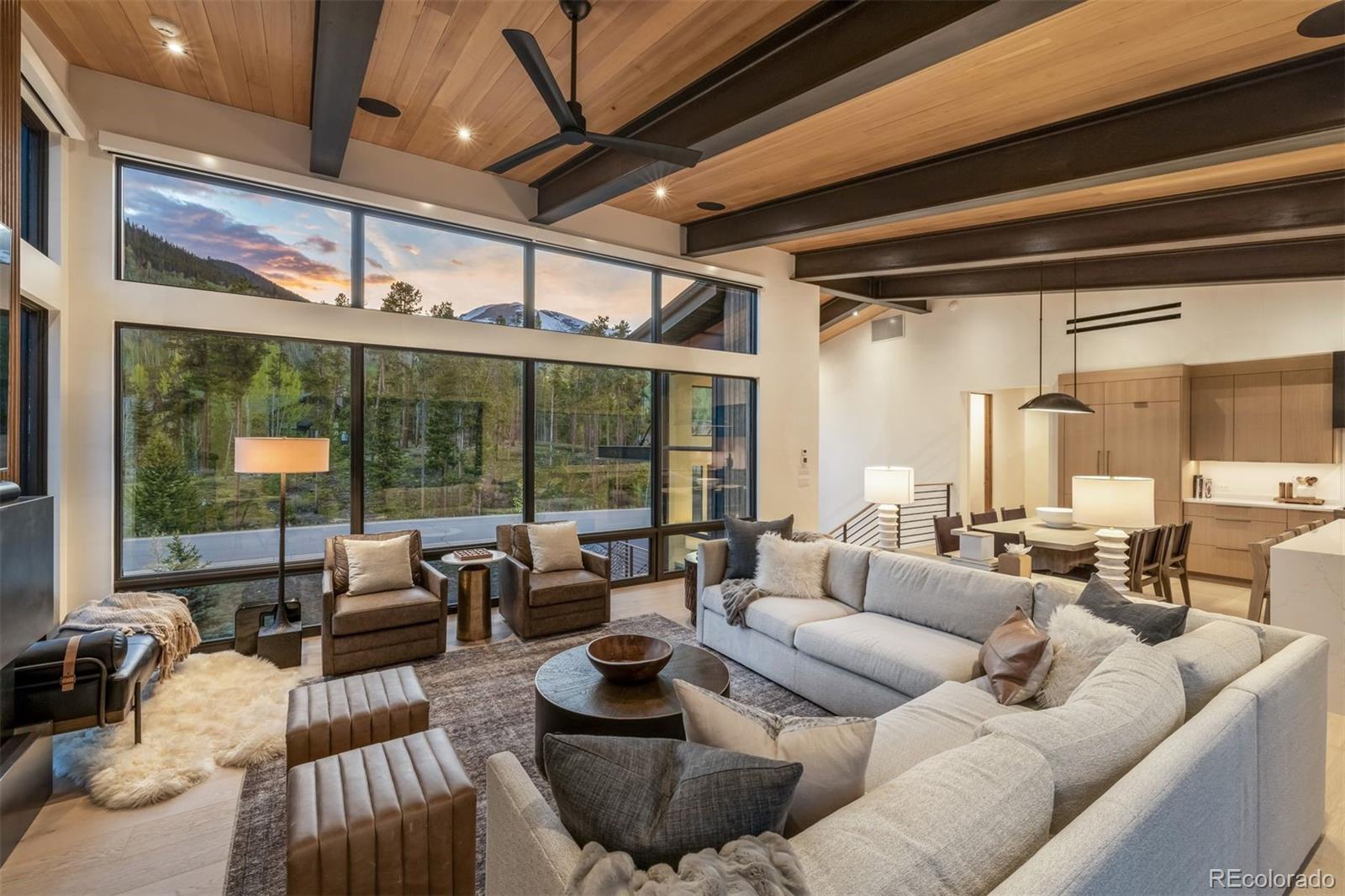 MLS Image #8 for 214  windflower lane,frisco, Colorado