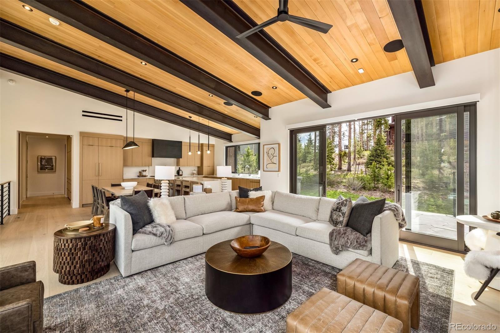 MLS Image #9 for 214  windflower lane,frisco, Colorado