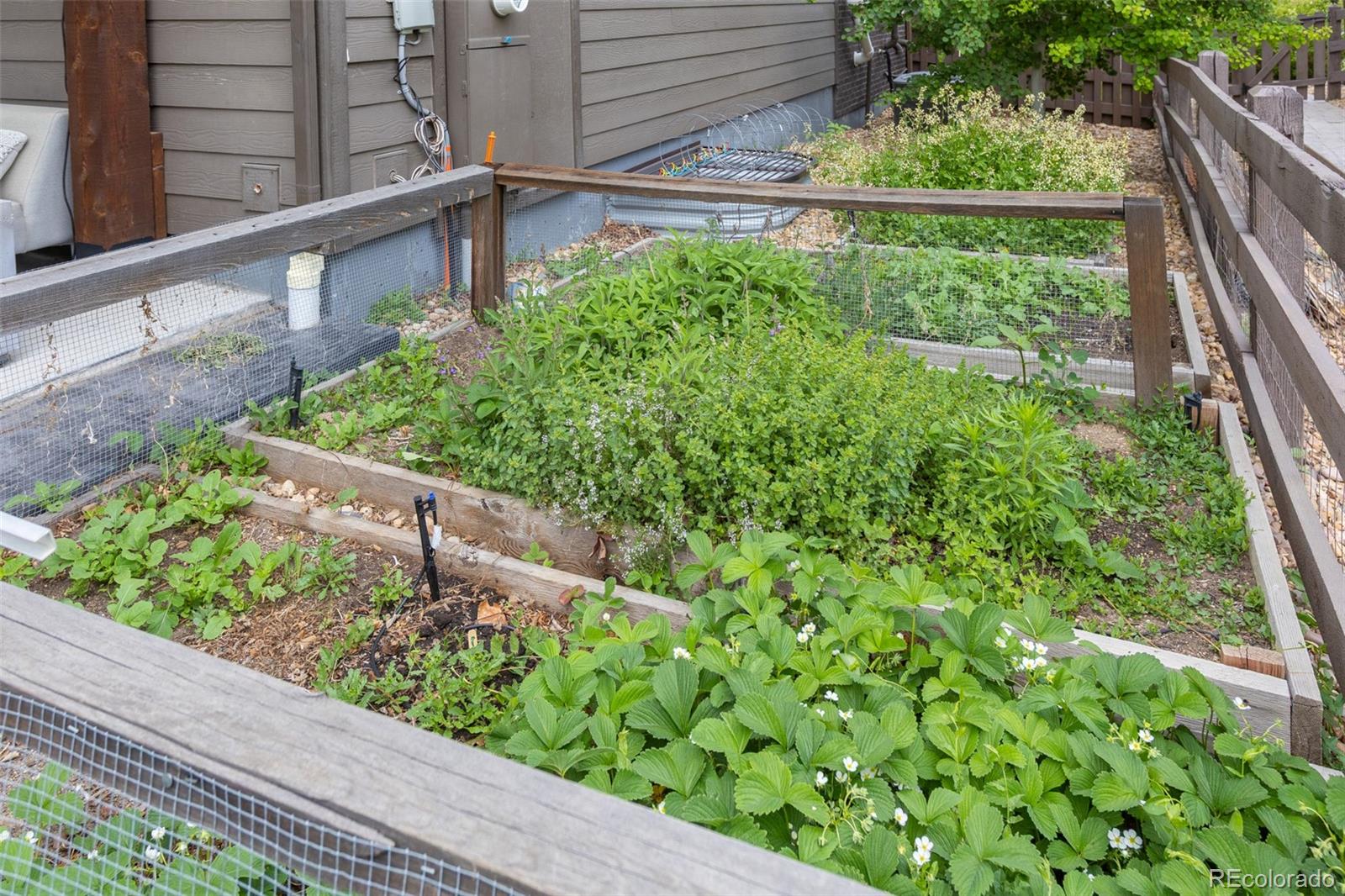 MLS Image #6 for 11880 w 38th place,wheat ridge, Colorado