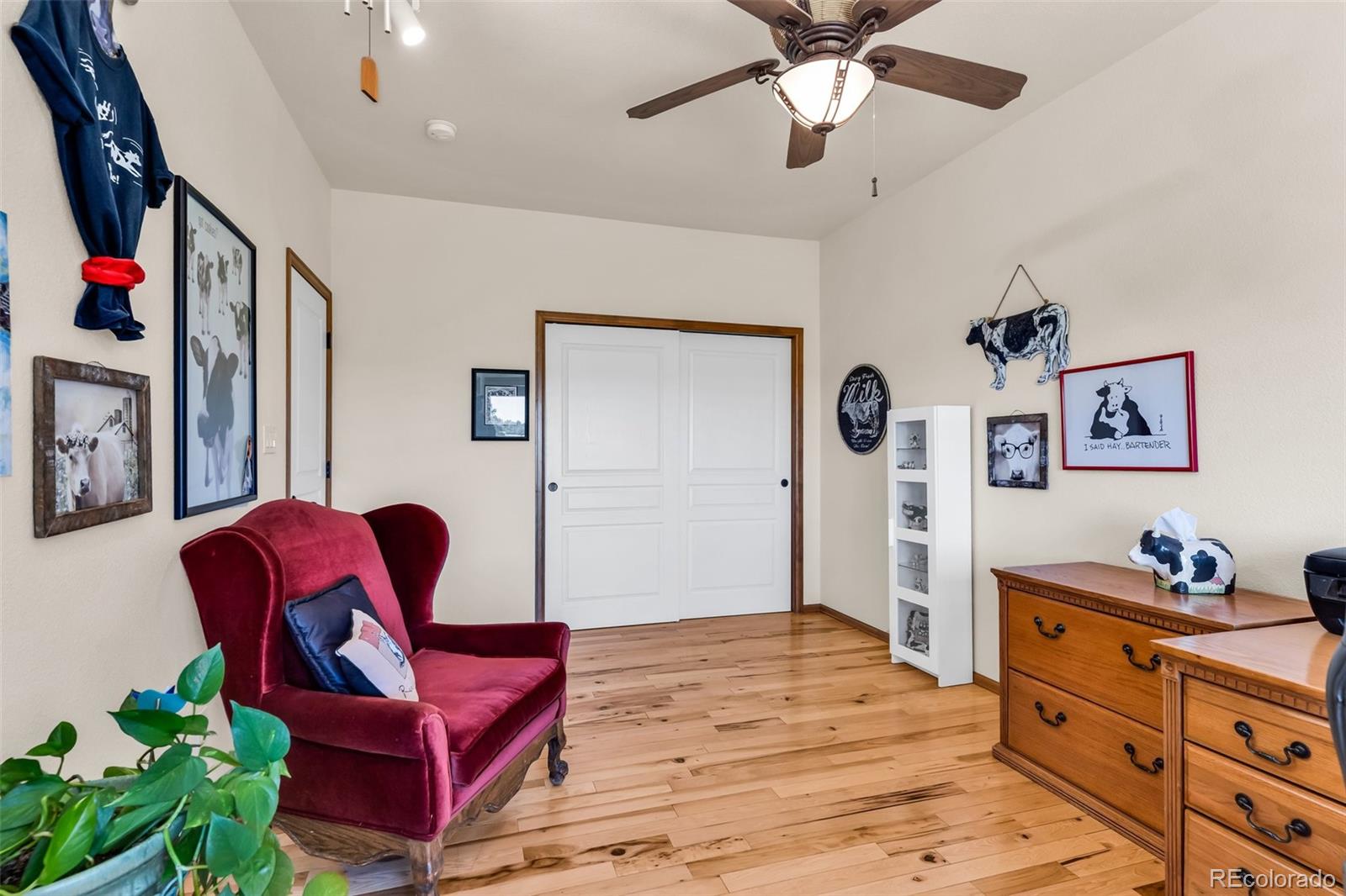 MLS Image #18 for 8188  lone bison road,rye, Colorado