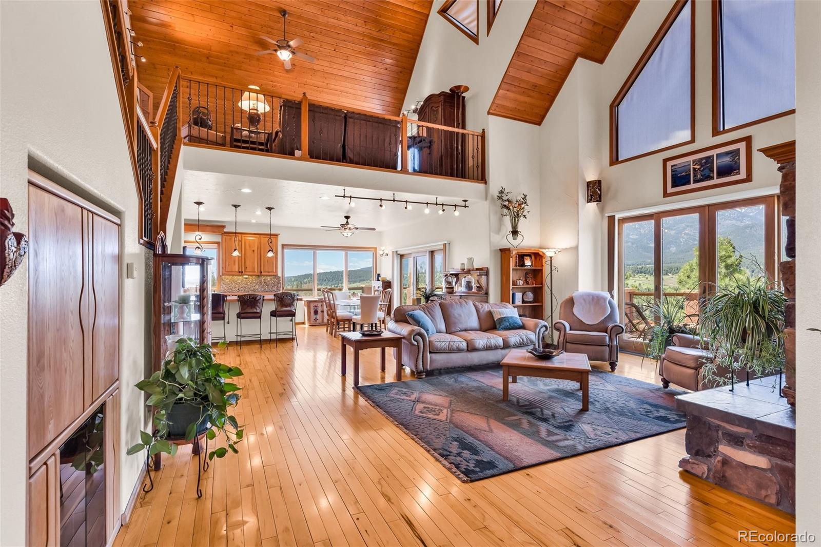 MLS Image #4 for 8188  lone bison road,rye, Colorado