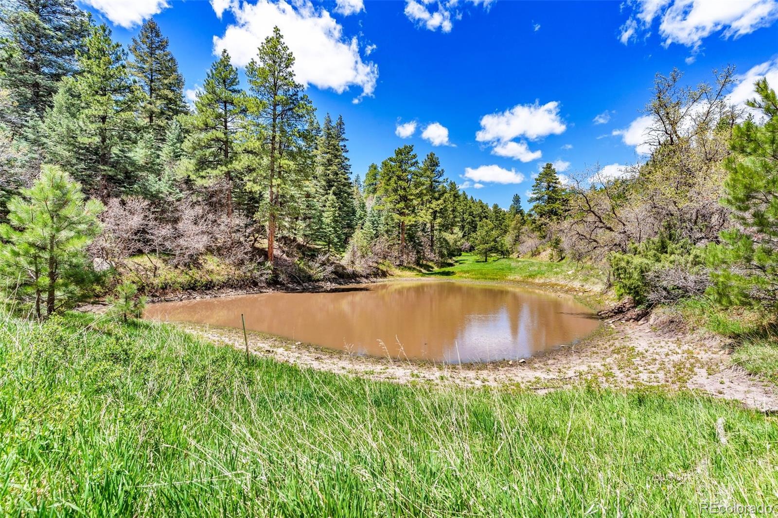 MLS Image #43 for 8188  lone bison road,rye, Colorado