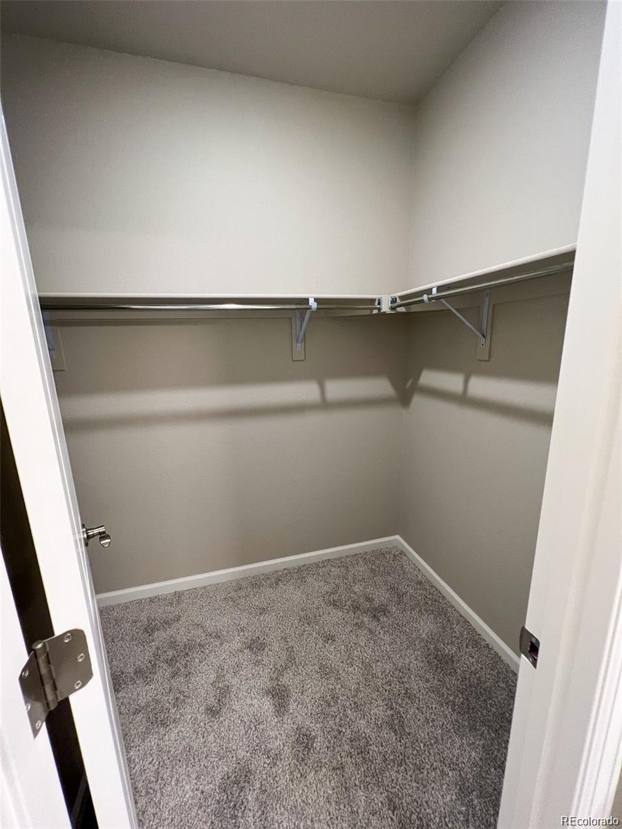 MLS Image #17 for 8428  galvani trail,littleton, Colorado