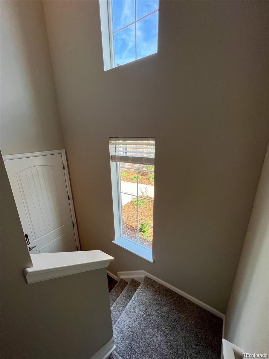 MLS Image #7 for 8428  galvani trail,littleton, Colorado