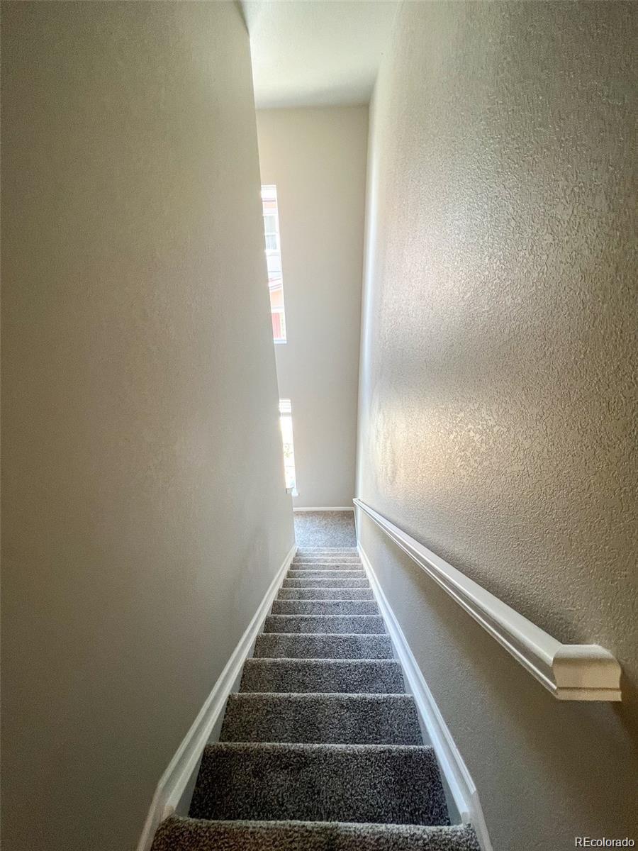 MLS Image #8 for 8428  galvani trail,littleton, Colorado