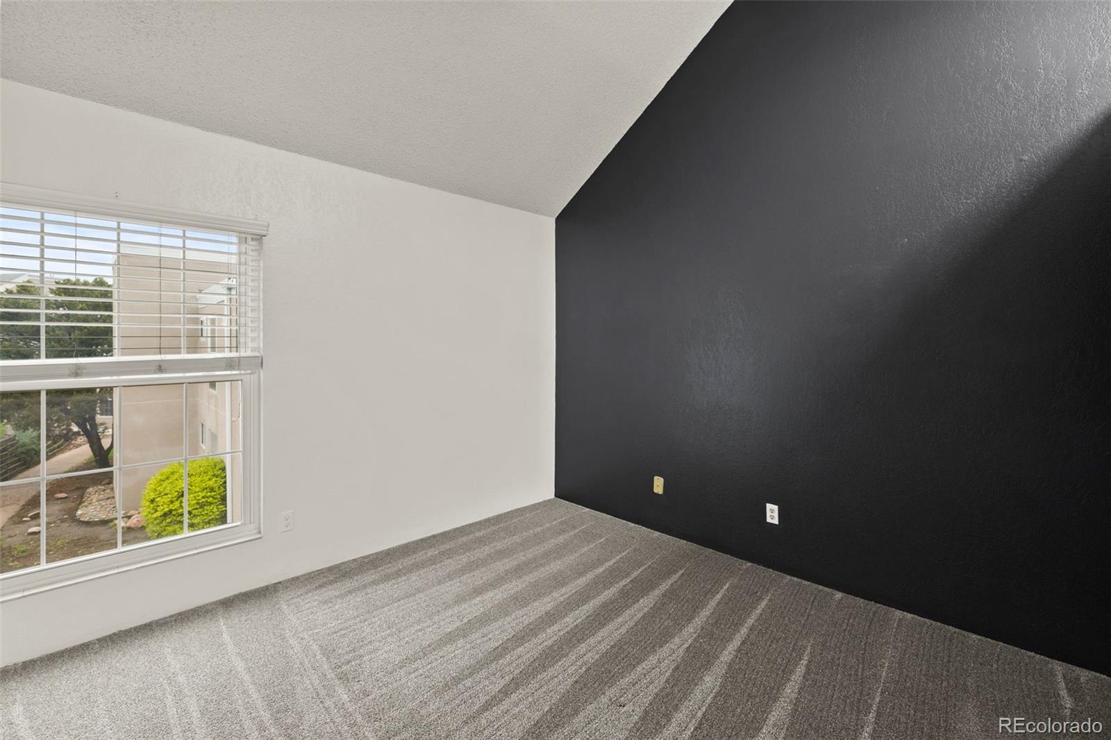 MLS Image #11 for 3110  van teylingen drive,colorado springs, Colorado