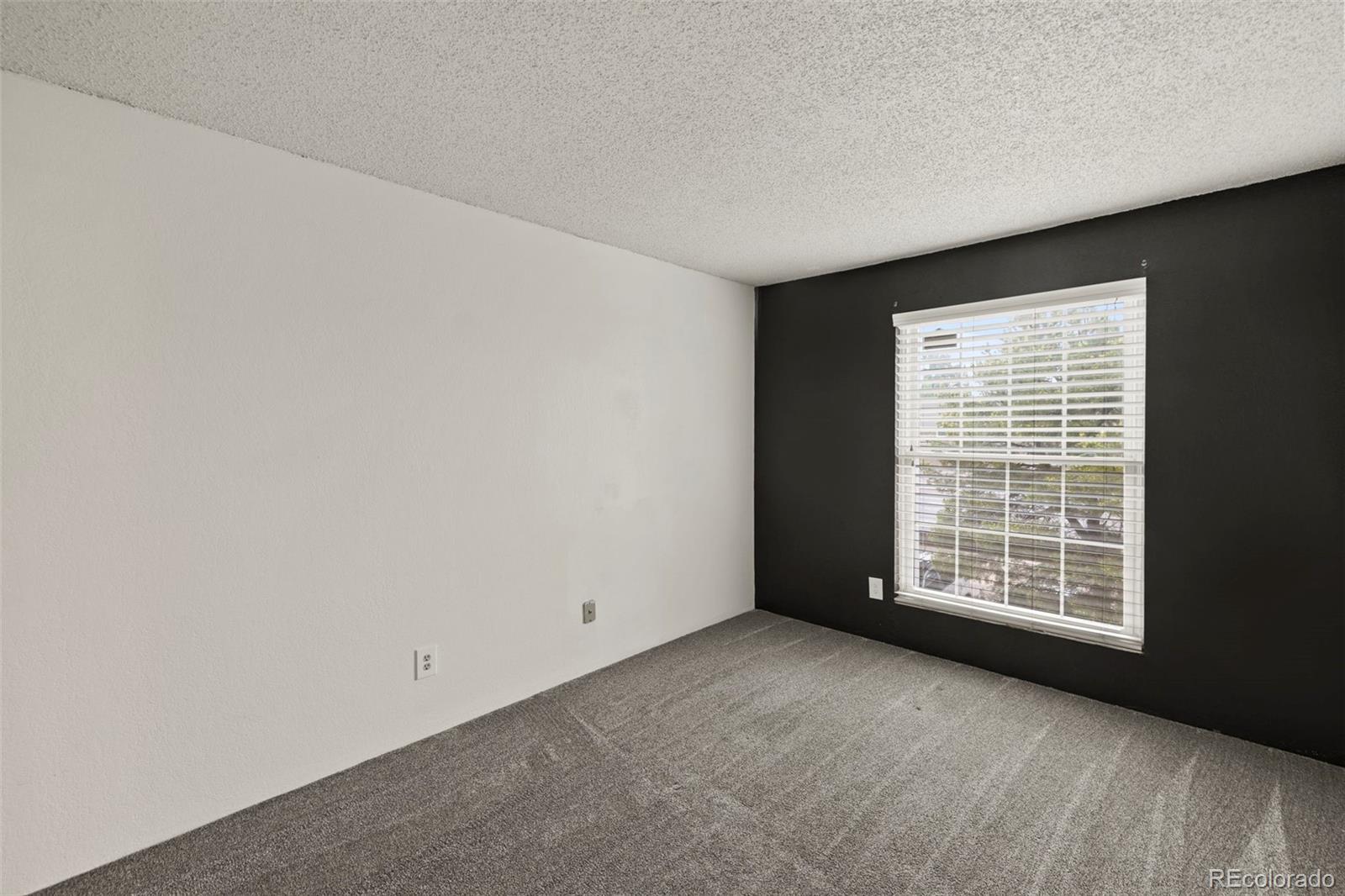 MLS Image #14 for 3110  van teylingen drive,colorado springs, Colorado