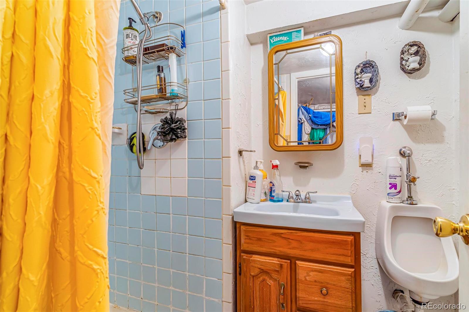 MLS Image #13 for 2421 n york street,denver, Colorado