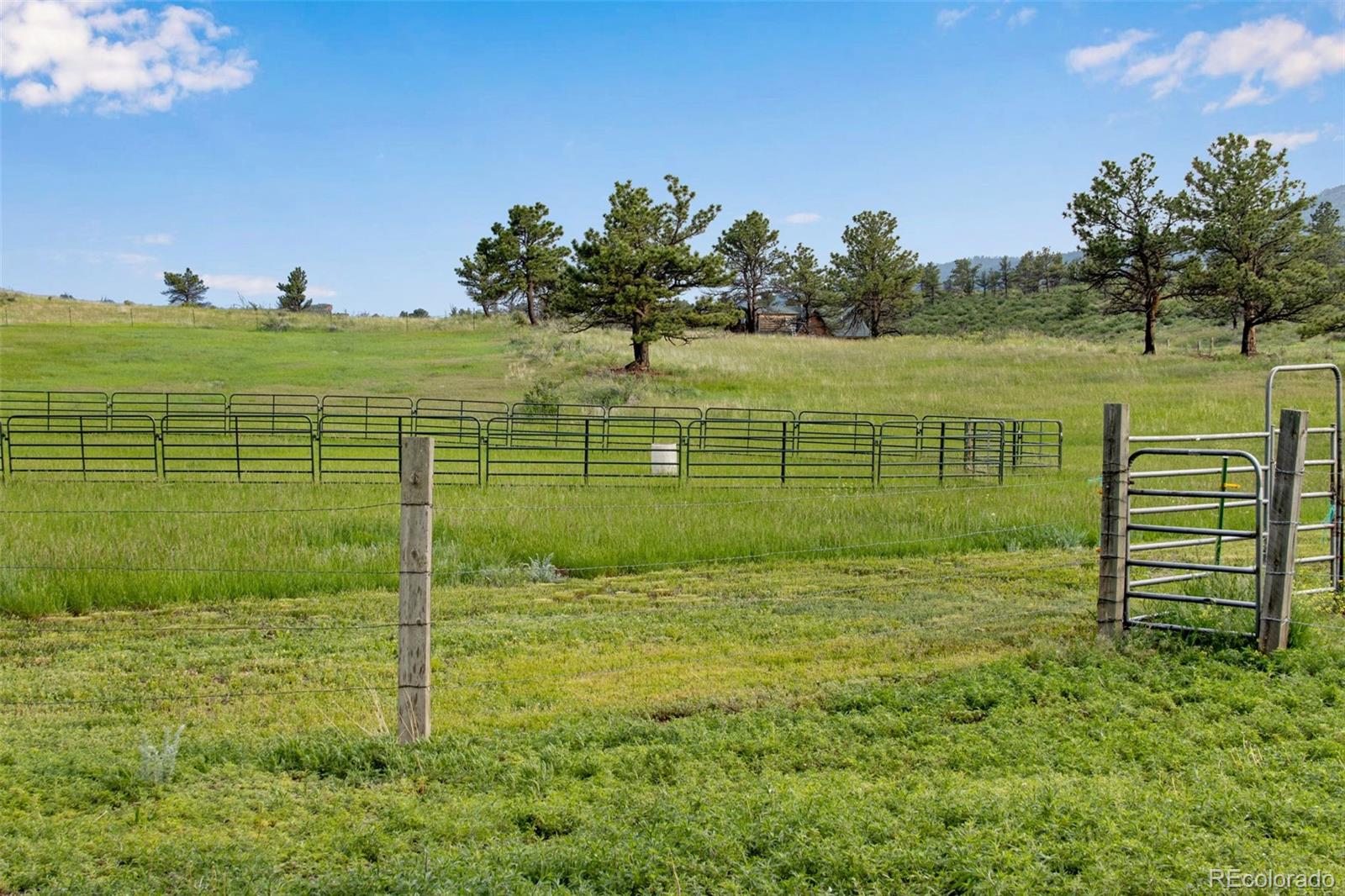 MLS Image #16 for 9709  buckhorn road,loveland, Colorado