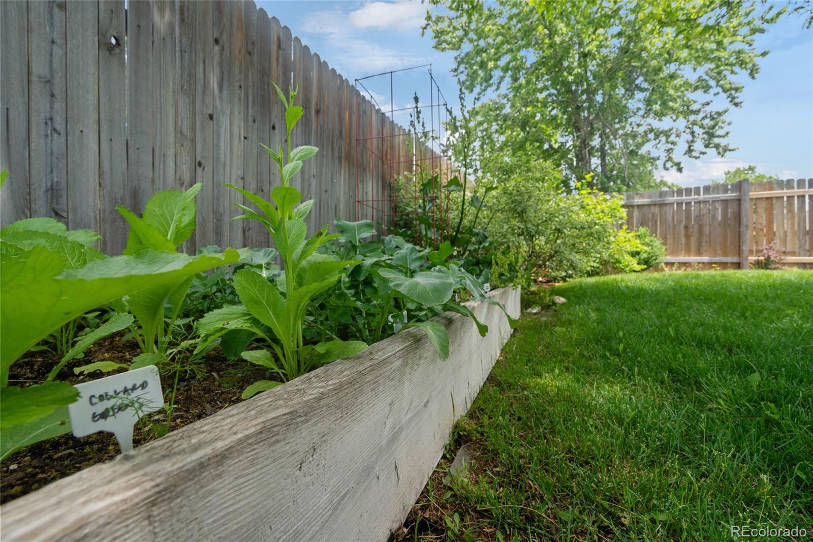 MLS Image #17 for 5170  deephaven court,denver, Colorado