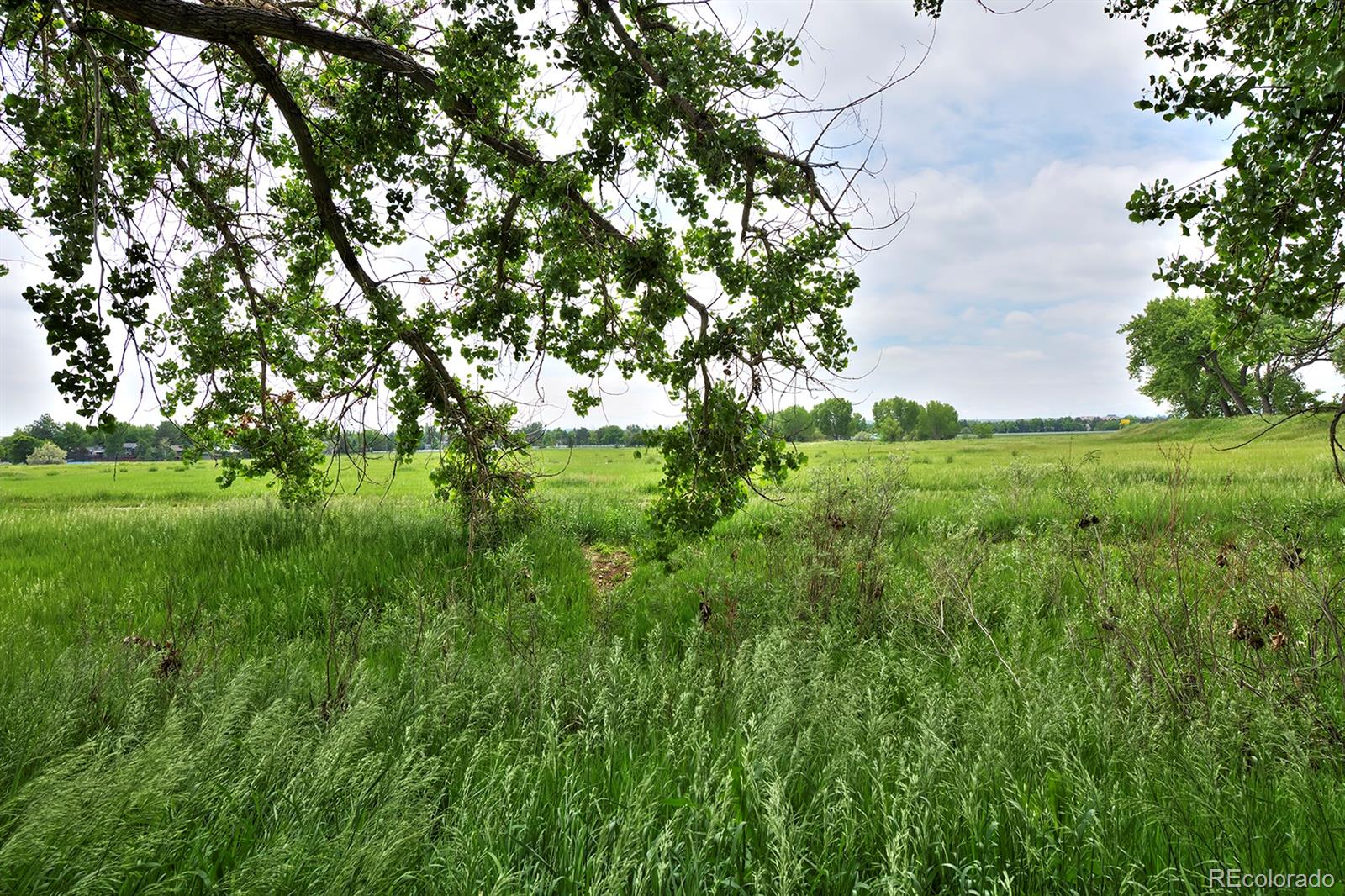 MLS Image #39 for 236 w sycamore lane,louisville, Colorado