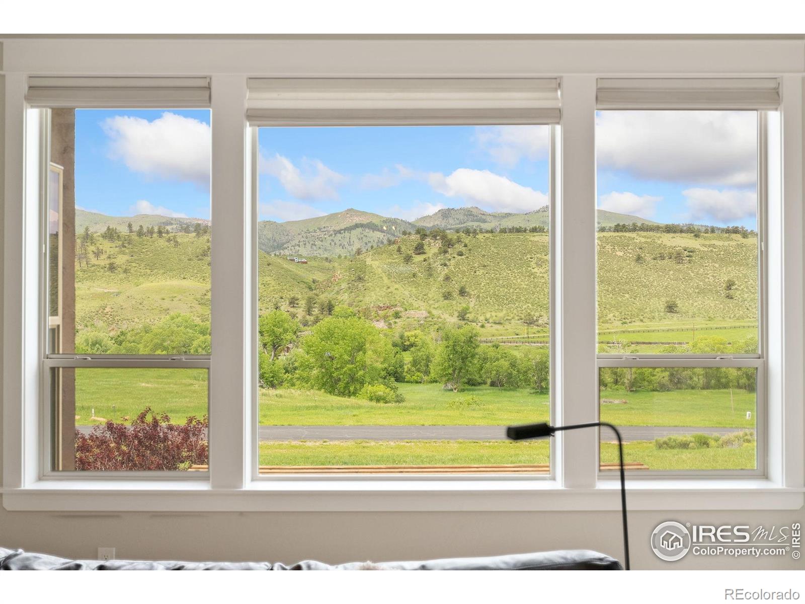 MLS Image #12 for 9738  buckhorn ridge way,loveland, Colorado
