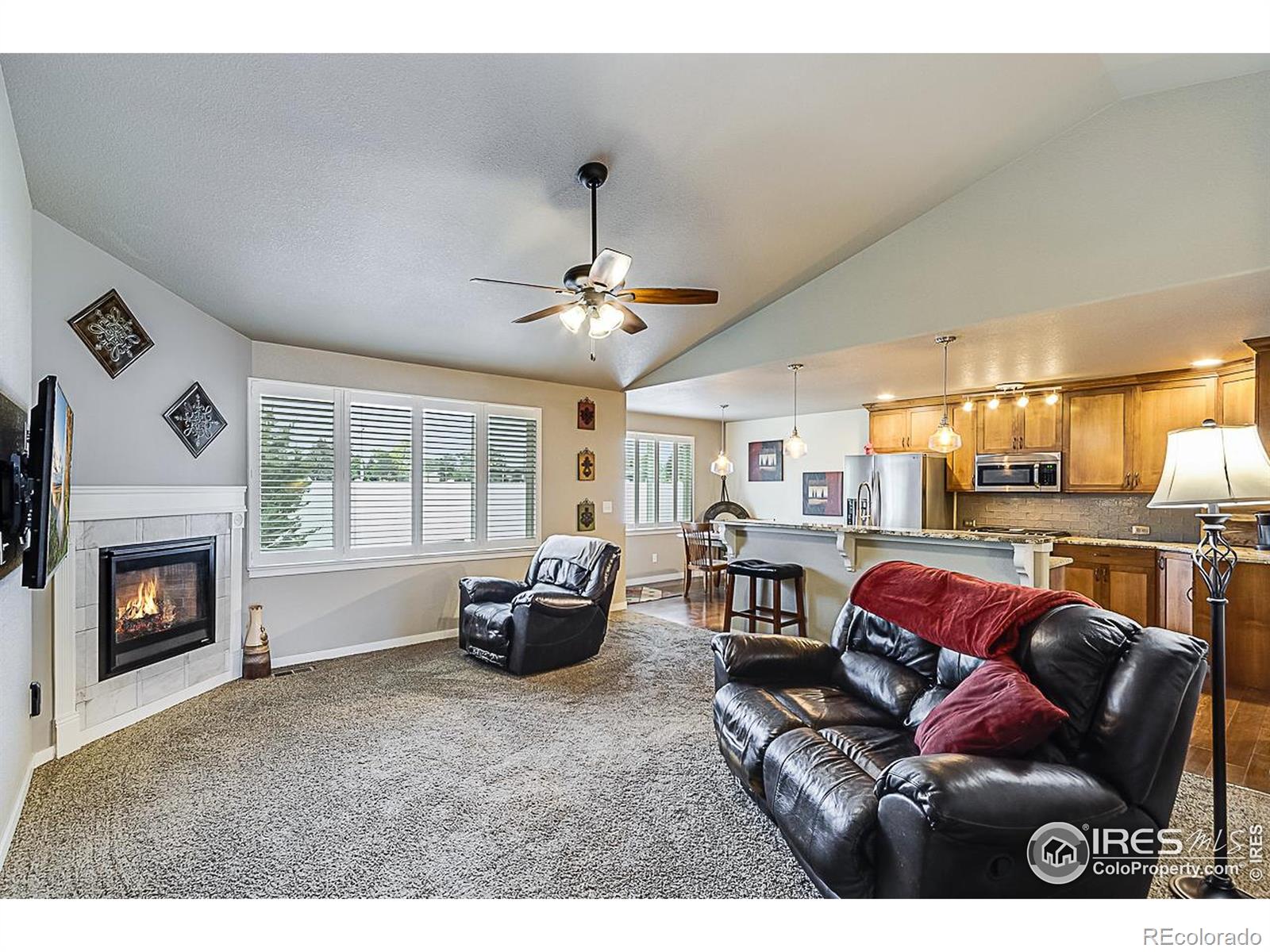 MLS Image #4 for 123  linden oaks drive,ault, Colorado