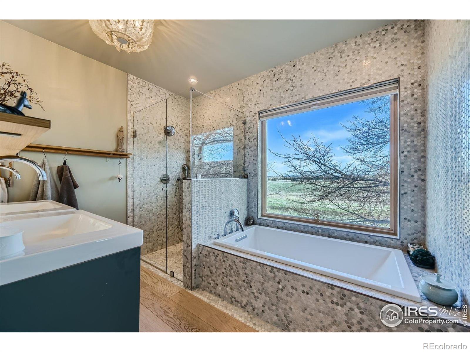 MLS Image #15 for 456 w sycamore court,louisville, Colorado