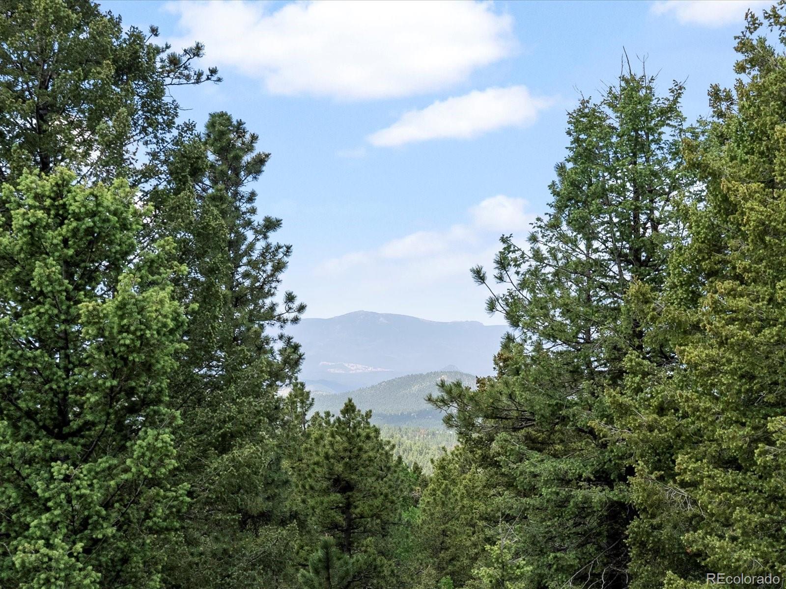 MLS Image #18 for 30382  kings valley east ,conifer, Colorado