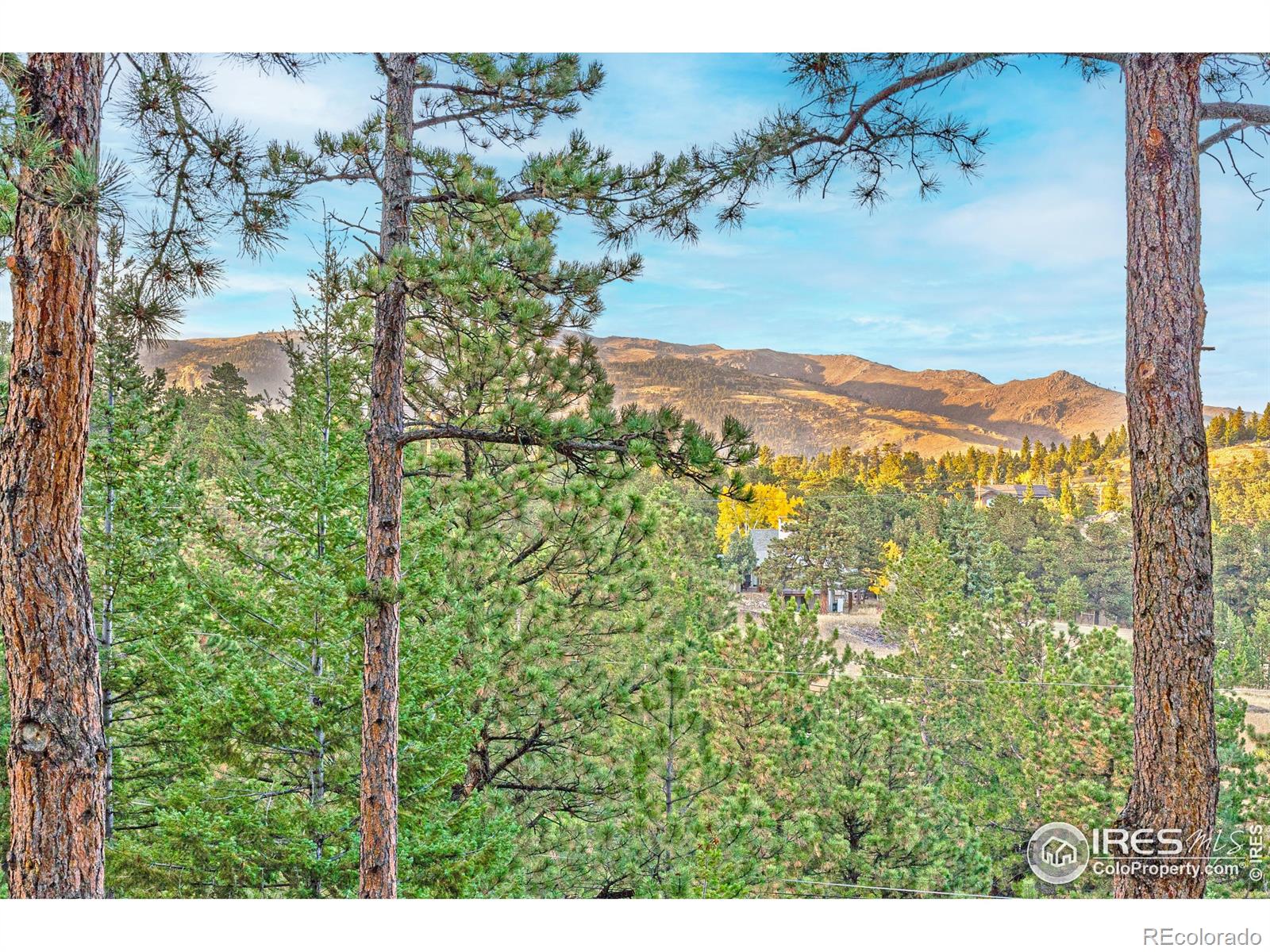 MLS Image #39 for 279  green meadow lane,boulder, Colorado
