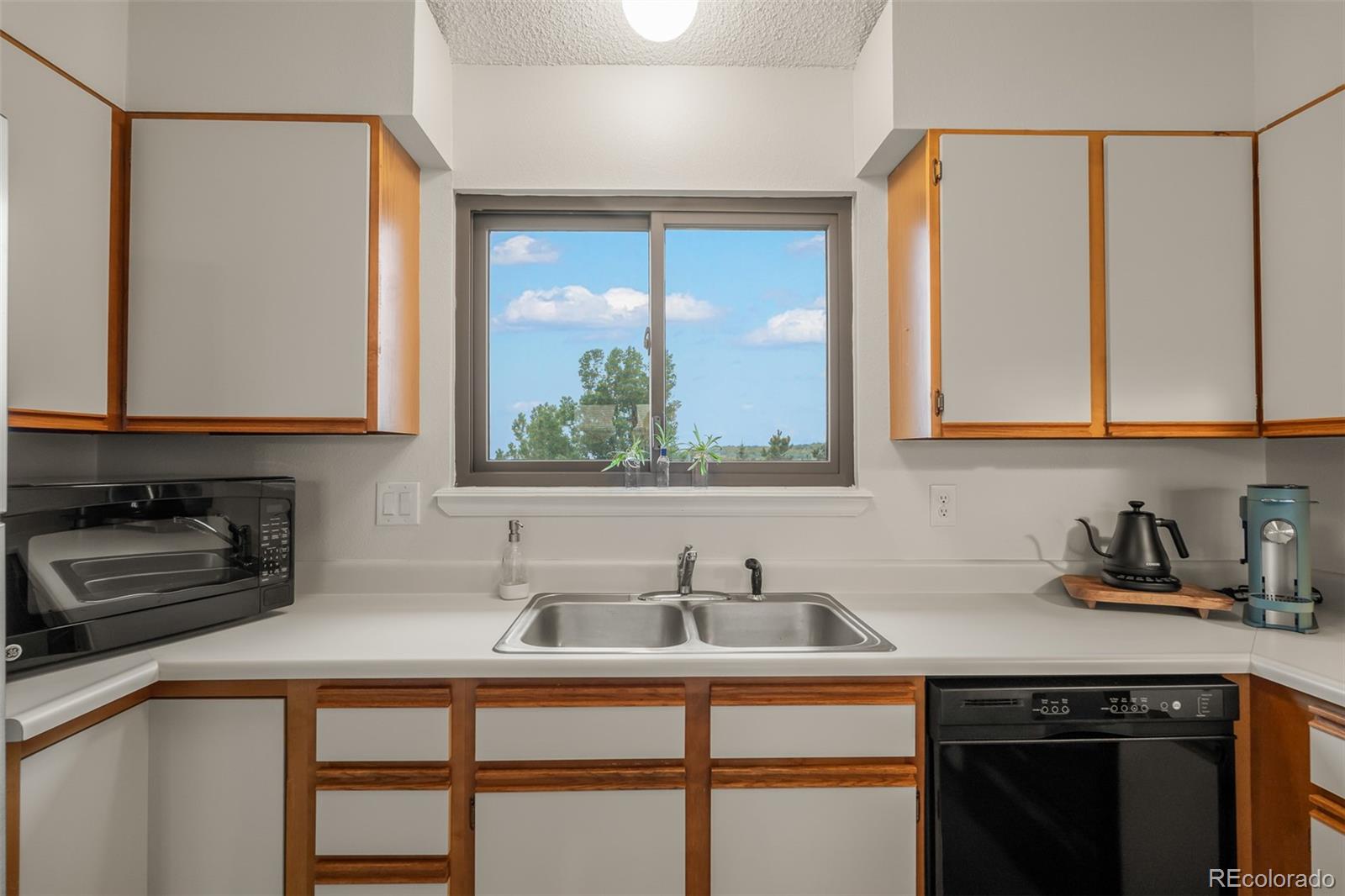MLS Image #10 for 2035  bristlecone drive,colorado springs, Colorado