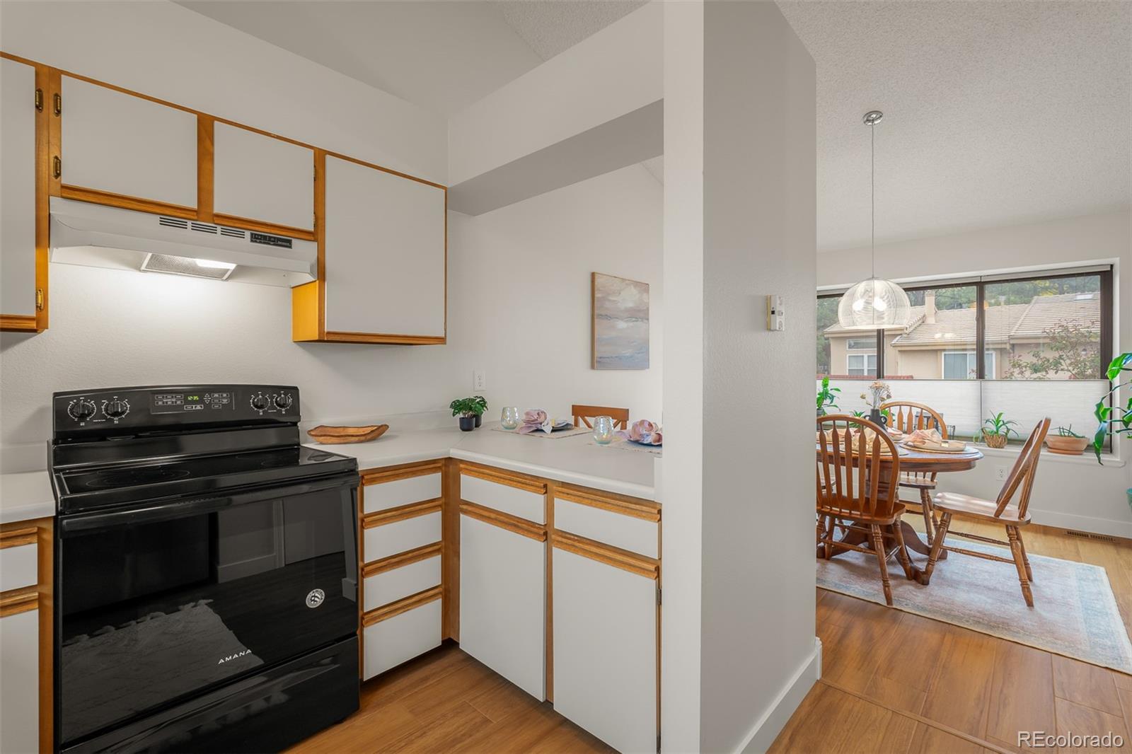 MLS Image #11 for 2035  bristlecone drive,colorado springs, Colorado