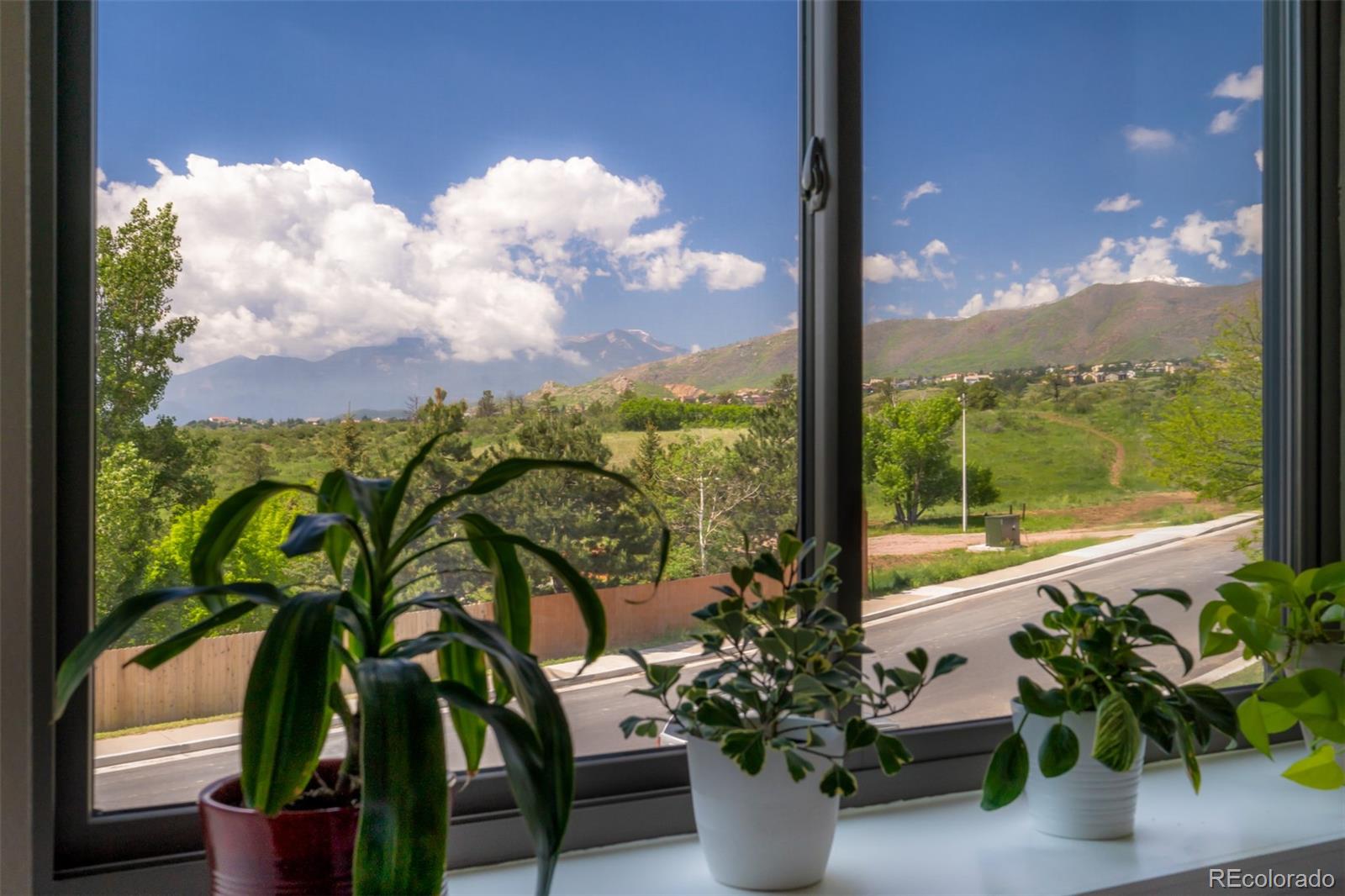 MLS Image #38 for 2035  bristlecone drive,colorado springs, Colorado