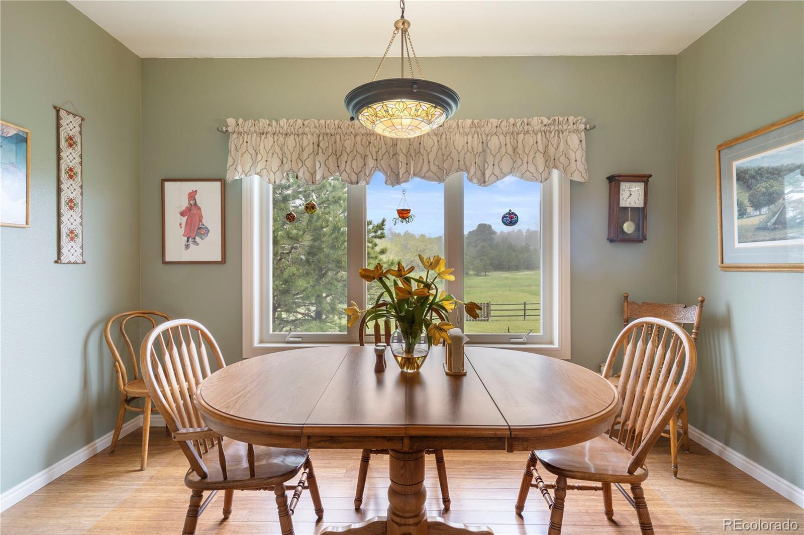MLS Image #10 for 15910  rhodes place,elbert, Colorado